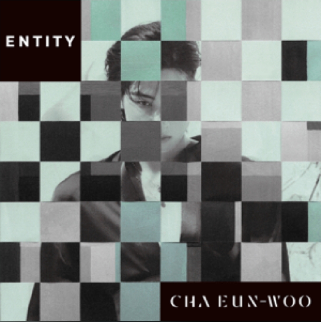 Entity (Cha Eun-woo Solo) 
