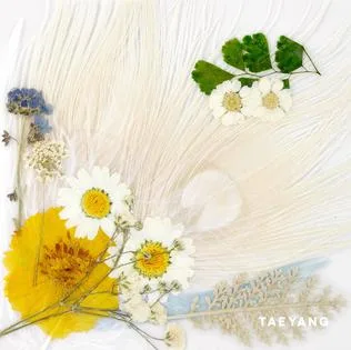 White Night (Taeyang Solo)
