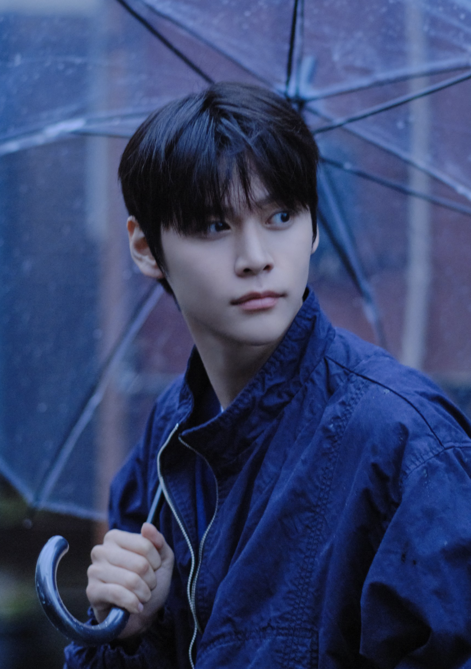 Eunseok Photocards (RIIZE ) | Bias Room