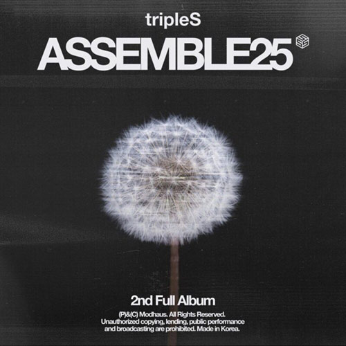 Assemble25