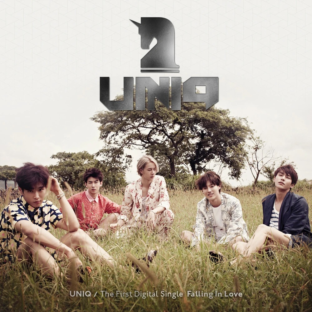 UNIQ - Falling in Love