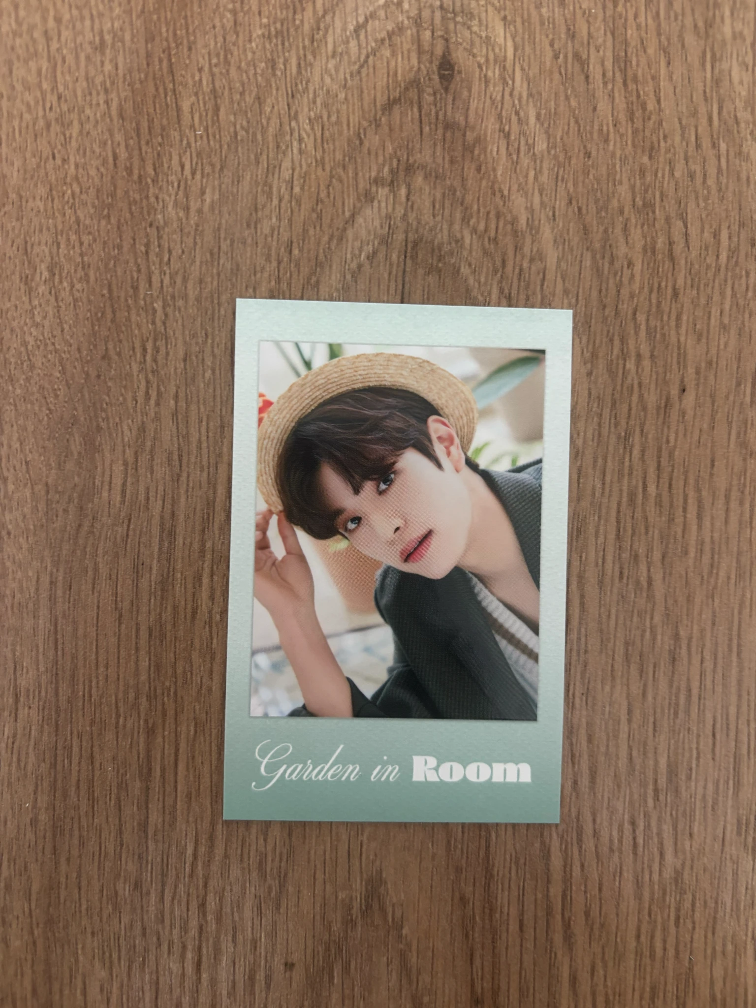 Stray Kids Seungmin Stray Kids - Seungmin - Seasons Greetings 2022 - Room Mates Event Garden Version listing photo 1