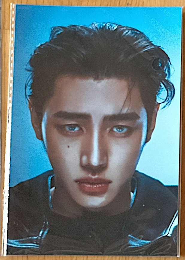 ENHYPEN Sunghoon ENHYPEN - Sunghoon - THE SIN: VANISH Album film photo B version album inclusion listing photo 1