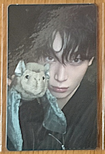 ENHYPEN Sunoo ENHYPEN - Sunoo - THE SIN: VANISH Album album photocard korean album forbidden version A version listing photo 1