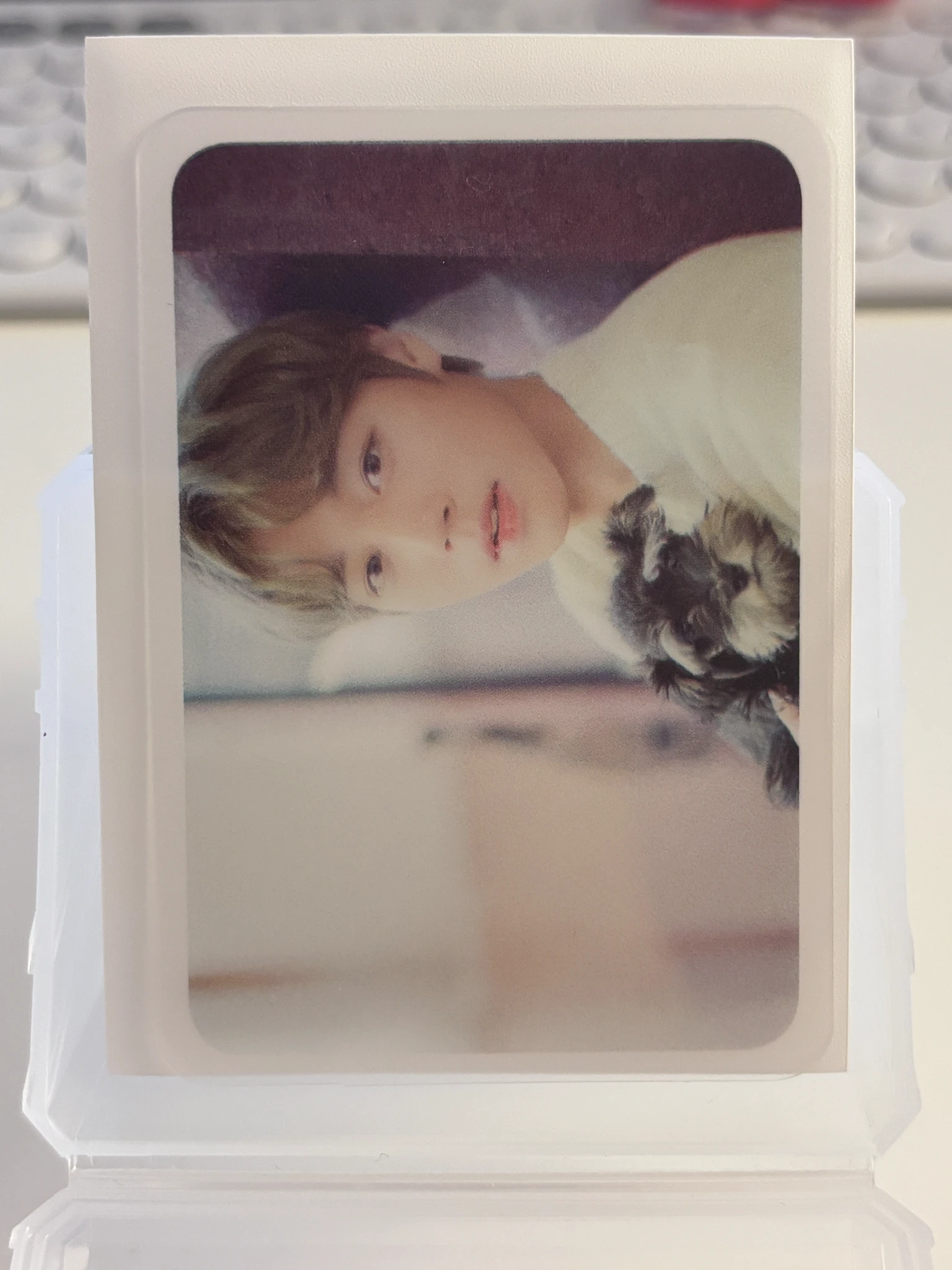 Wanna One Jihoon Wanna One - Jihoon - DICON Vol.4 "do u WANNA special ONE?" Other standard version transparent listing photo 1