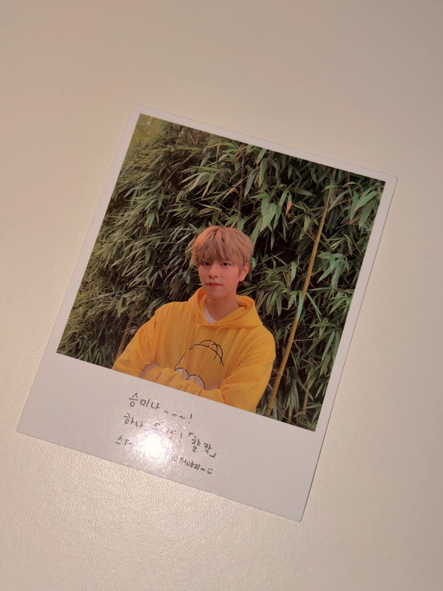 Stray Kids Seungmin Stray Kids - Seungmin - GO LIVE Album album photocard pre-order benefit polaroid listing photo 1