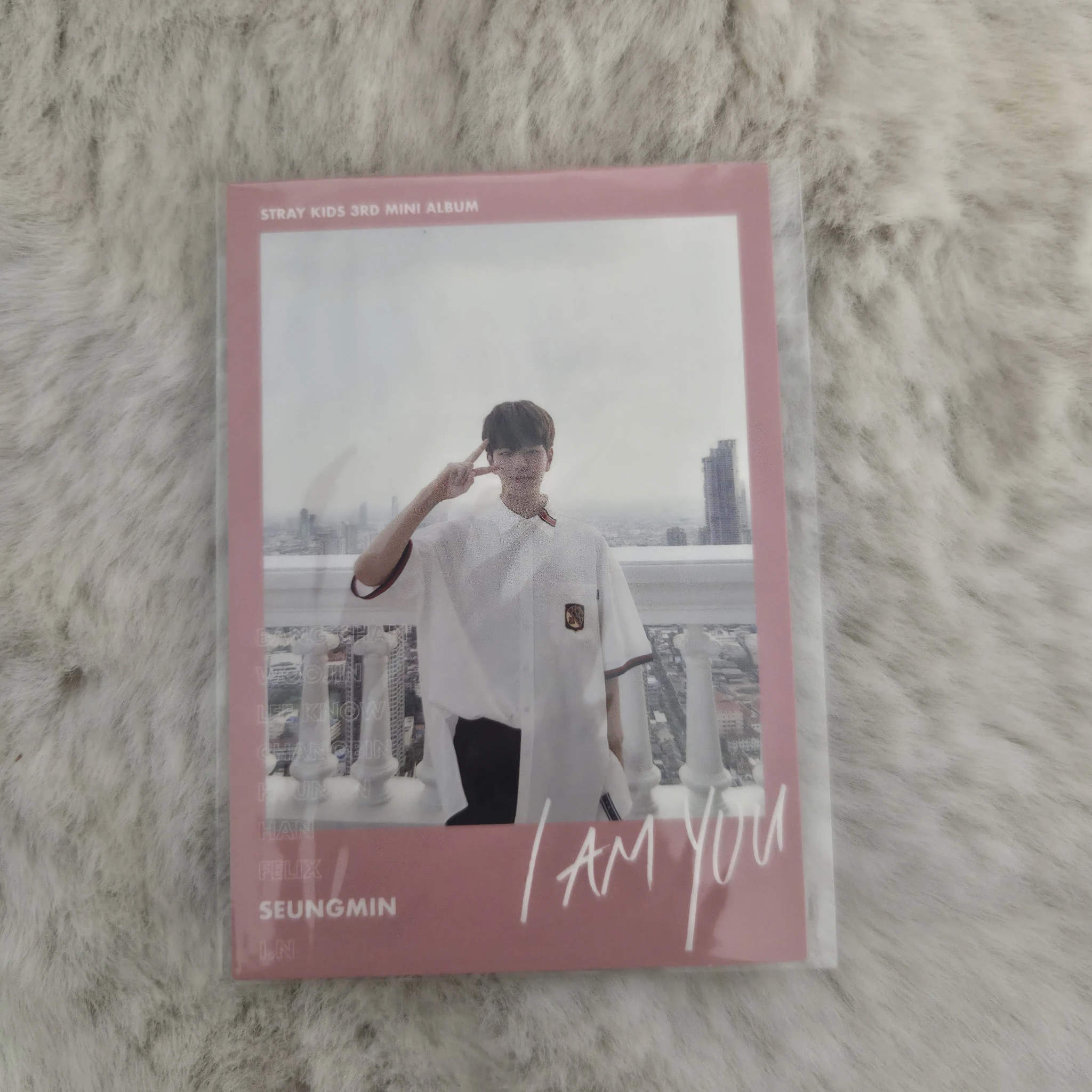 Stray Kids Seungmin Stray Kids - Seungmin - I am YOU Album polaroid non-standard size A version standard version qr card album inclusion listing photo 1