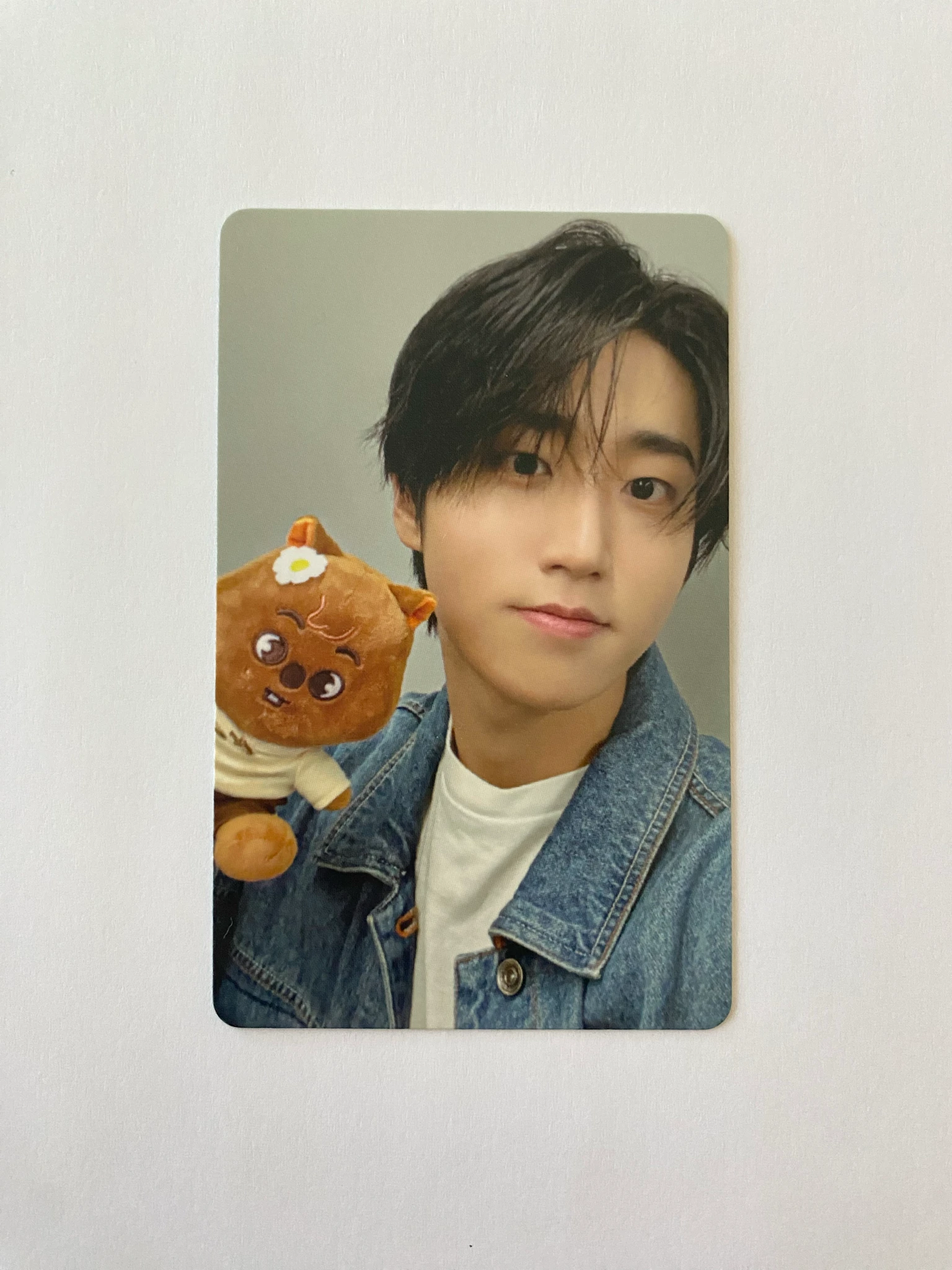 Stray Kids HAN Stray Kids - HAN - ZOOTOPIA2 x SKZOO Pop-Up in Seongsu Event pre-order benefit (pob) merch photocard purchase benefit online listing photo 1
