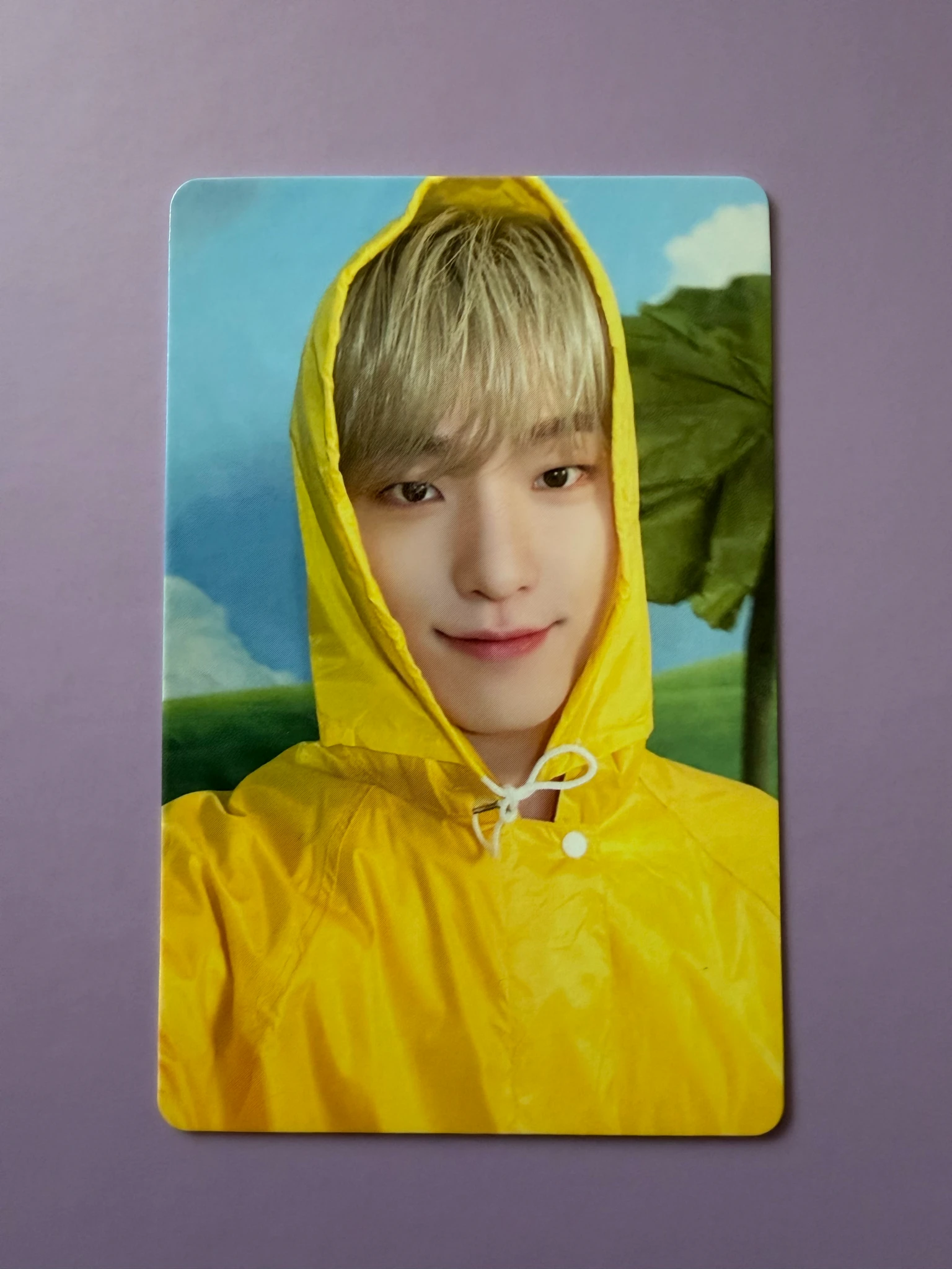 SEVENTEEN Dino SEVENTEEN - Dino - Seventeenth Heaven Album album photocard carat ver. listing photo 1