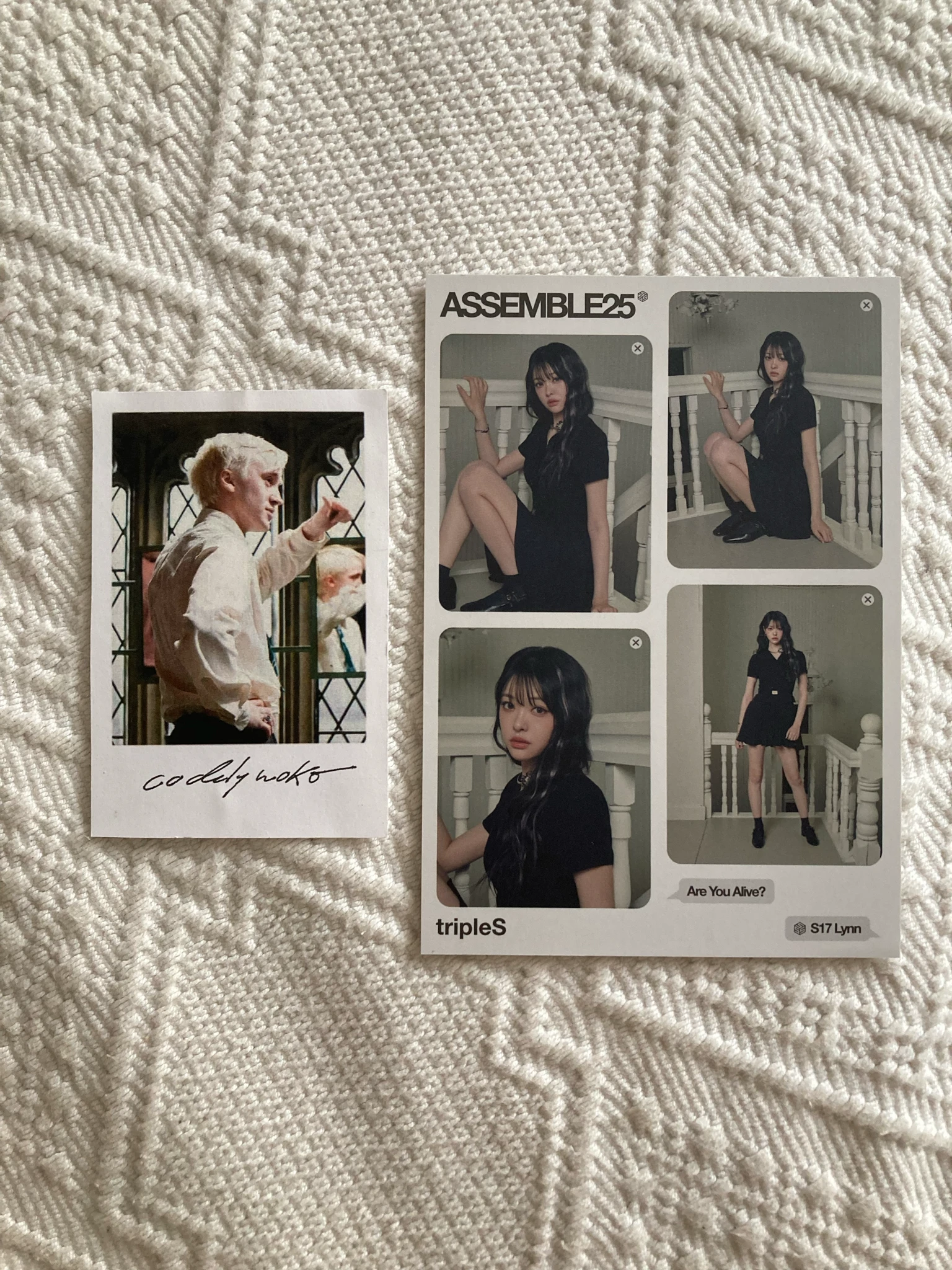 tripleS Lynn tripleS - Lynn - Assemble25 Album album inclusion are you alive version visual card listing photo 1