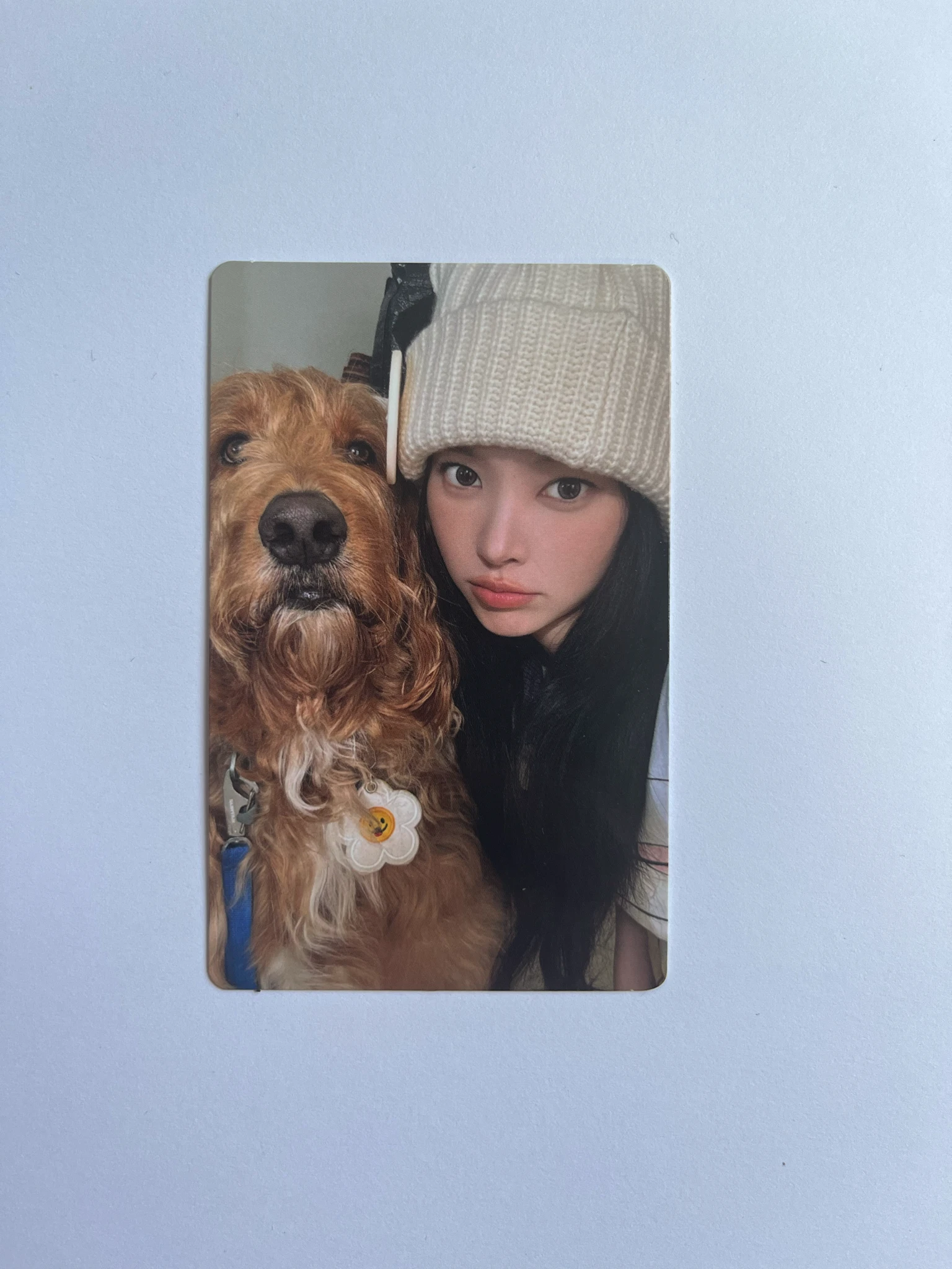 ILLIT Yunah ILLIT - Yunah - MAMIHLAPINATAPAI Album album photocard paw paw version listing photo 1