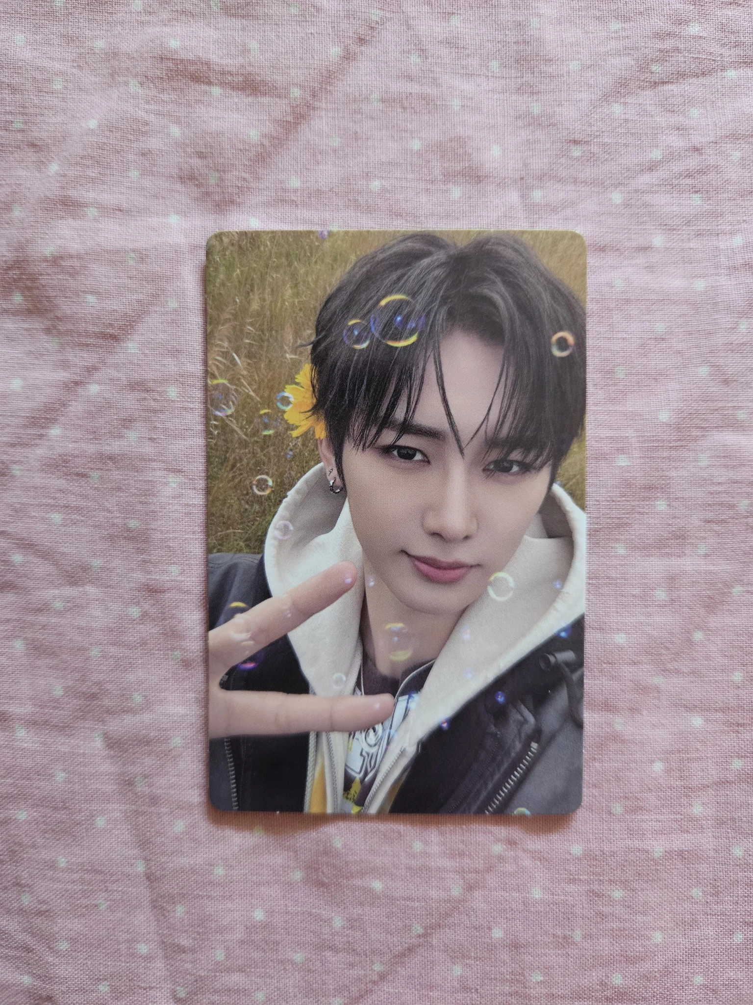 ALPHA DRIVE ONE Anxin ALPHA DRIVE ONE - Anxin - EUPHORIA Album merch photocard trading card star road version listing photo 1