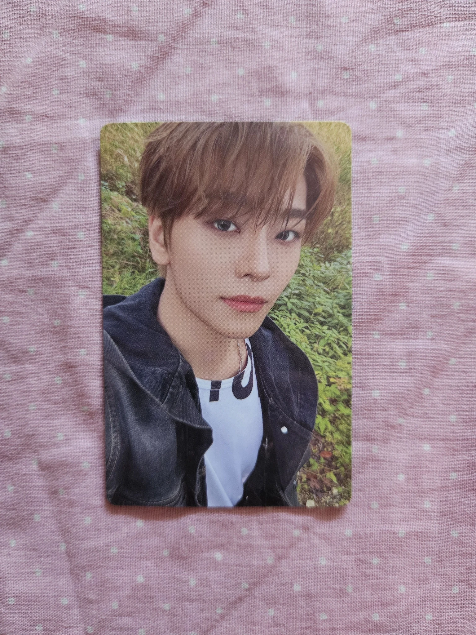 ALPHA DRIVE ONE Xinlong ALPHA DRIVE ONE - Xinlong - EUPHORIA Album merch photocard trading card freak alarm version listing photo 1