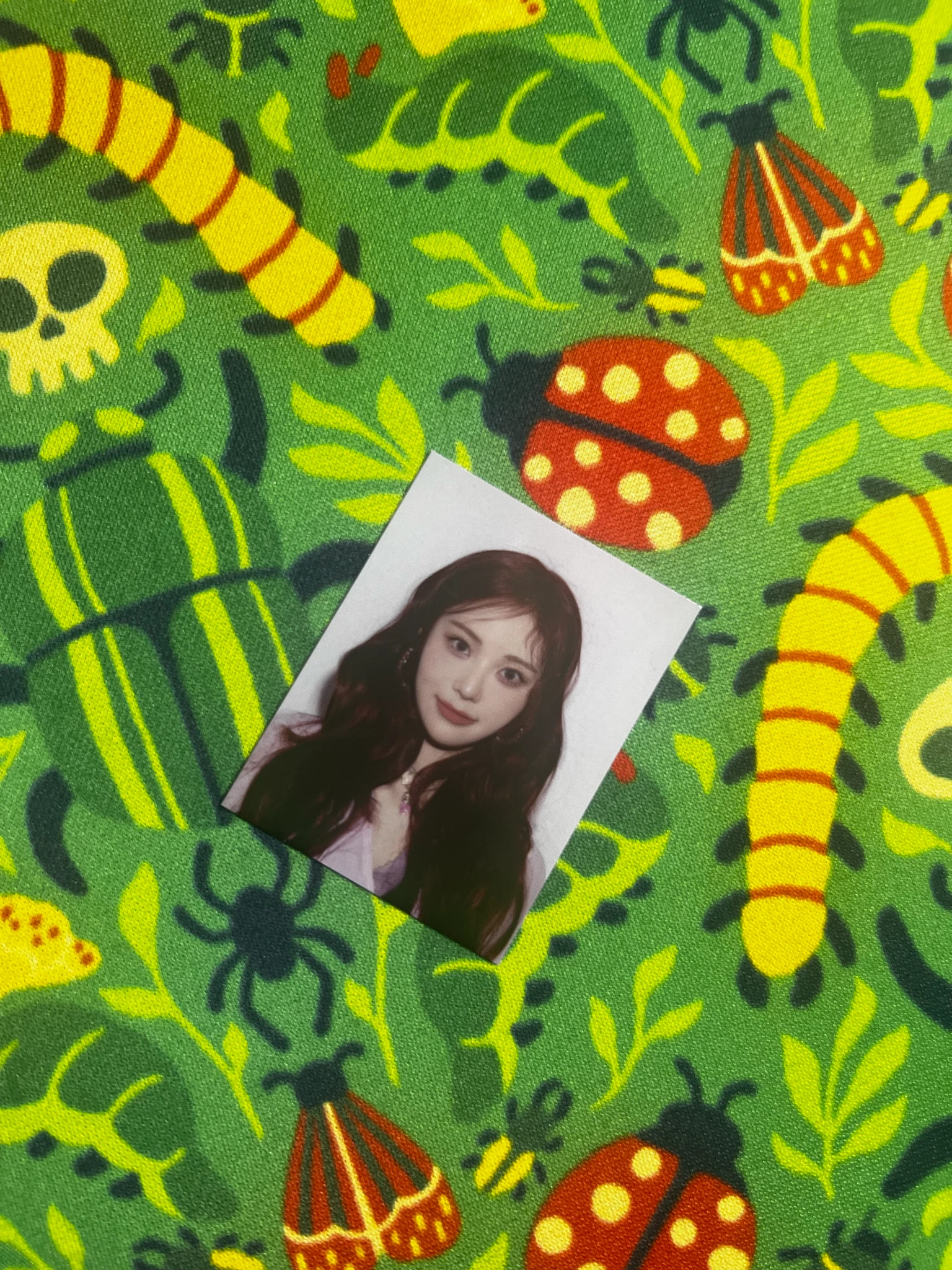 ARTMS JinSoul ARTMS - JinSoul - Dall Album id photo album inclusion listing photo 1
