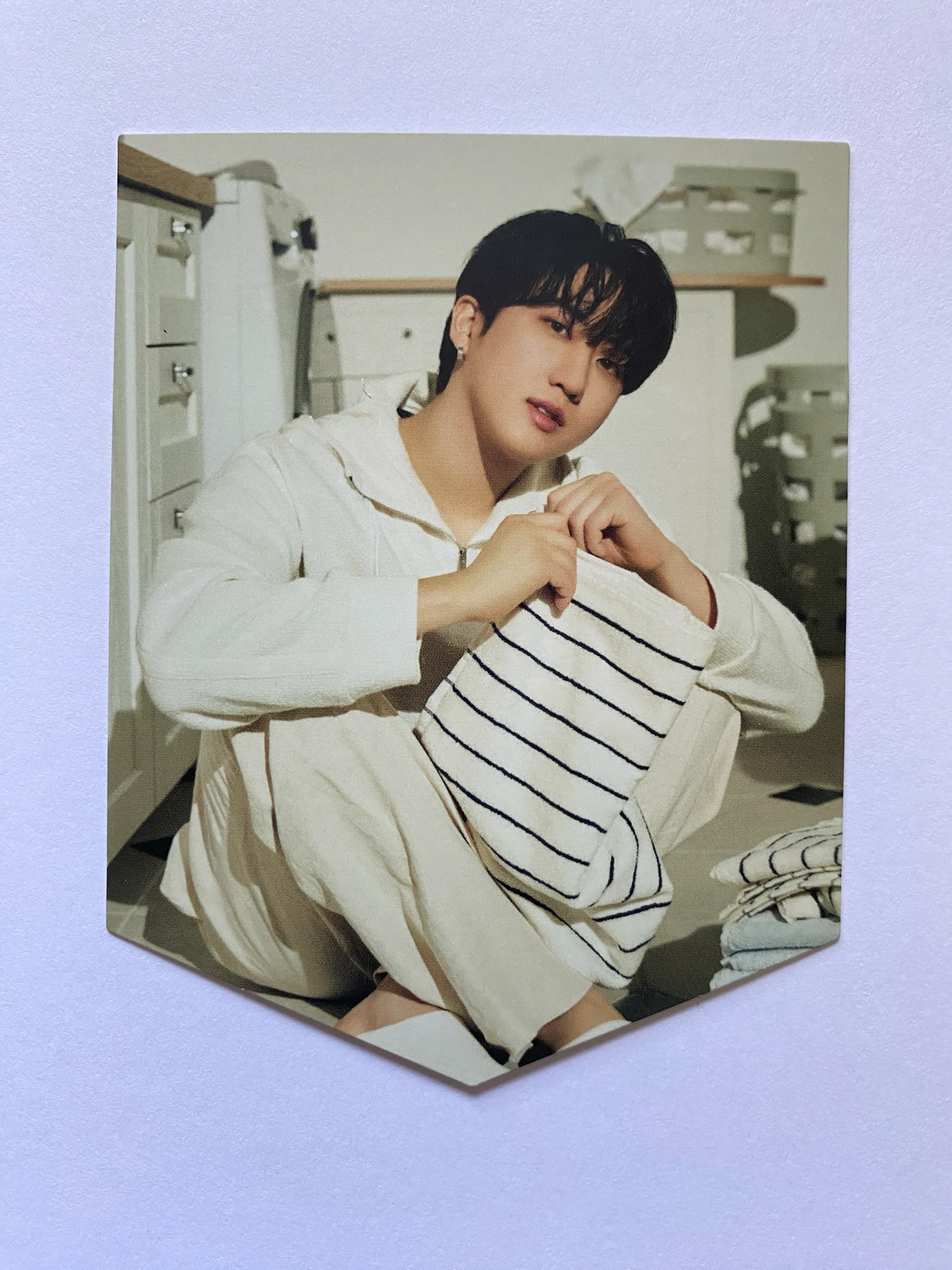 Stray Kids Changbin Stray Kids - Changbin - 2024 Season's Greetings - Perfect Day with SKZ Other kit inclusion season's greetings garland supplemental listing photo 1