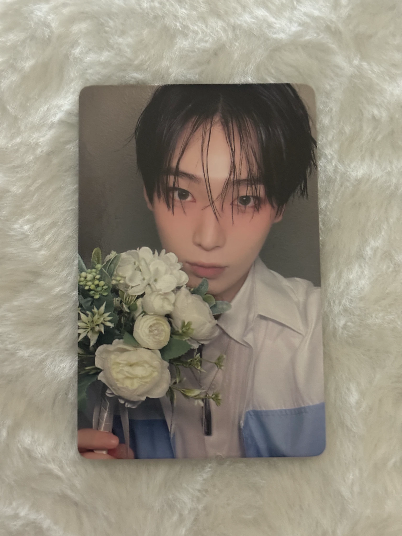 ENHYPEN Sunoo ENHYPEN - Sunoo - ROMANCE: UNTOLD-DAYDREAM- Album yizhiyu (yzy) round 2 lucky draw listing photo 1