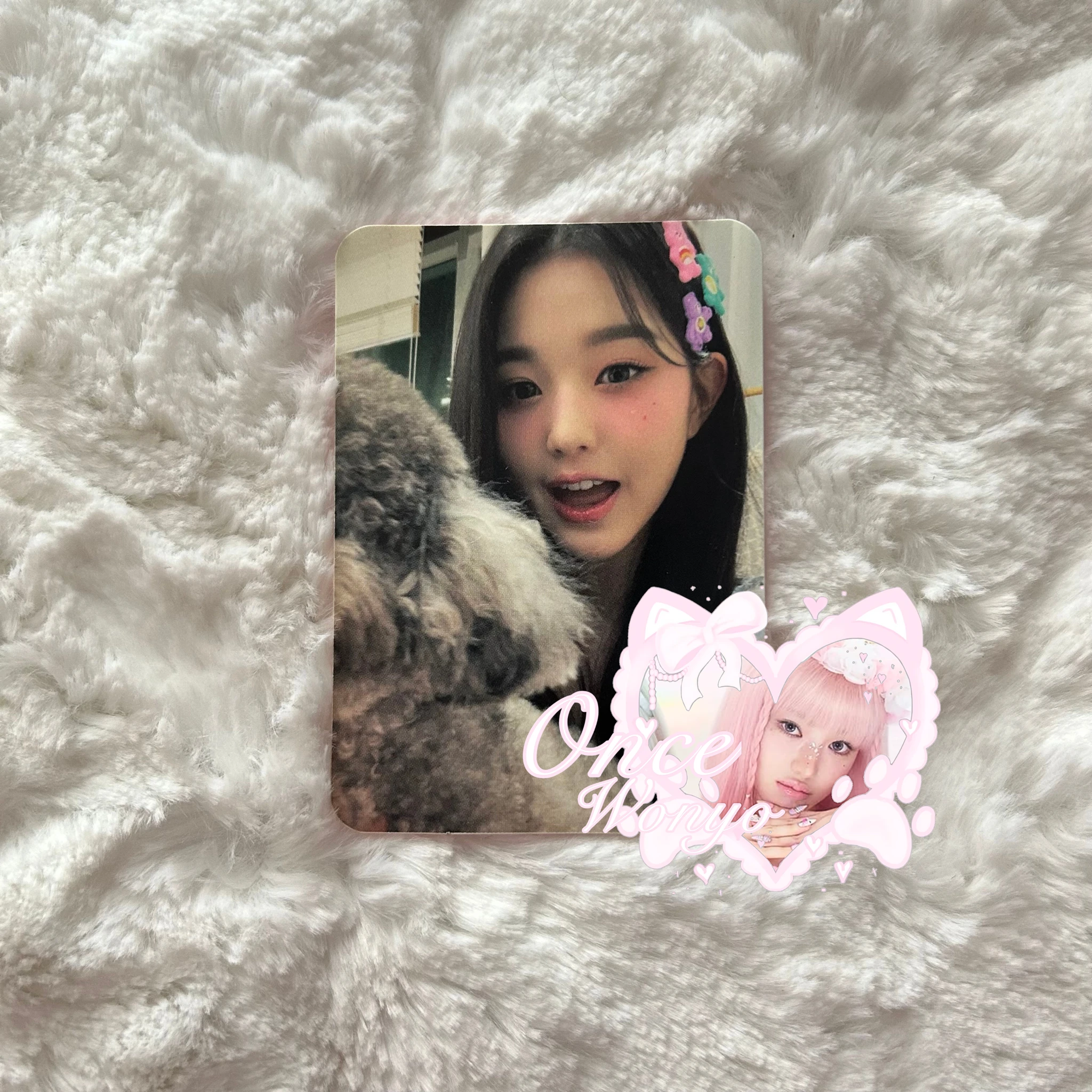 IZ*ONE Wonyoung IZ*ONE - Wonyoung - DICON VOLUME 12 “SHALL WE DANCE?” Other photocard set listing photo 1