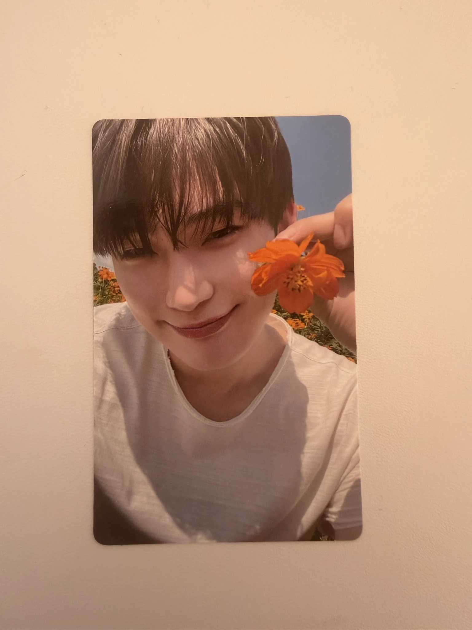 ENHYPEN Sunoo ENHYPEN - Sunoo - ORANGE BLOOD Album weverse album version korean album album photocard listing photo 1