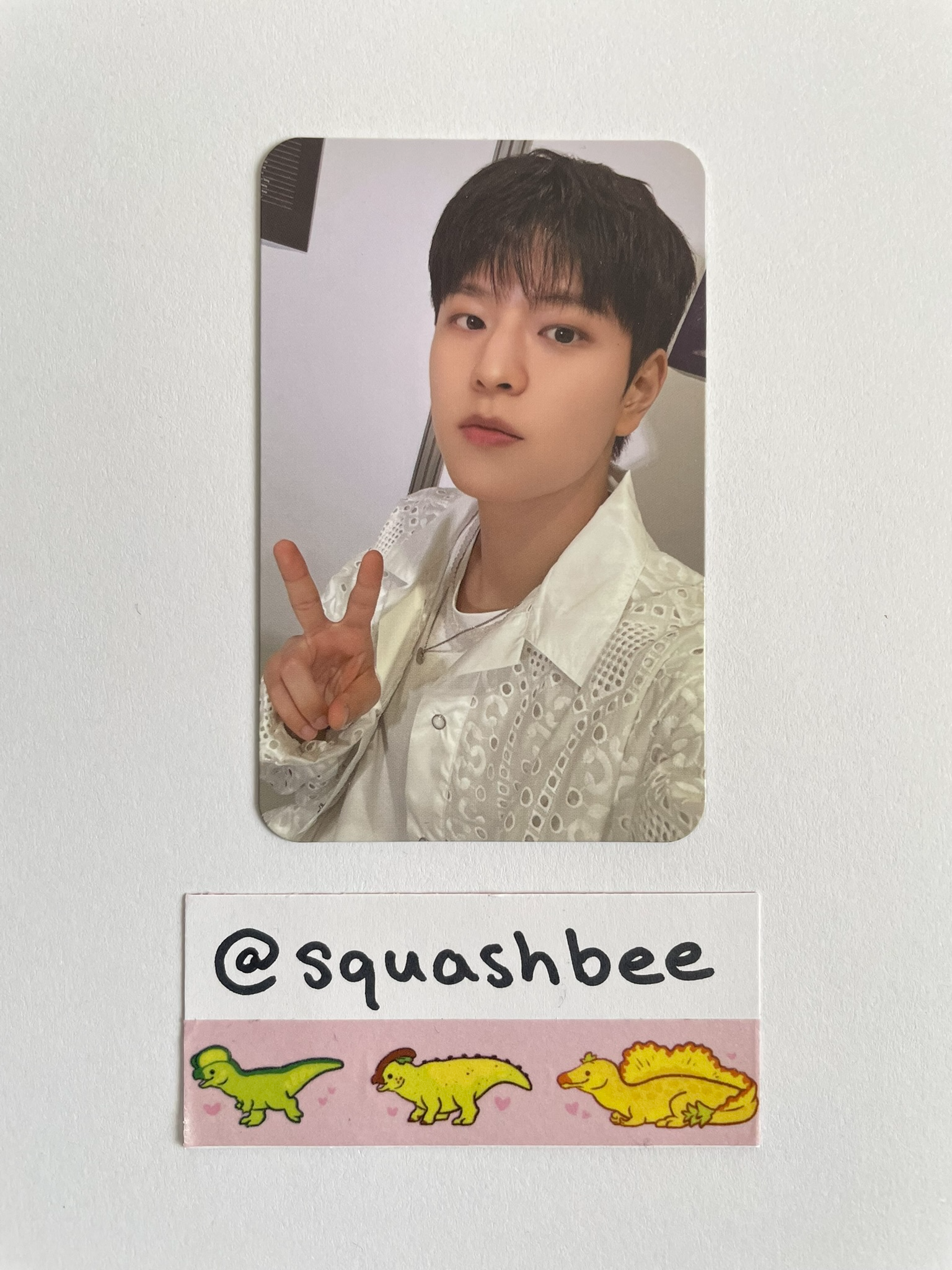 Stray Kids Seungmin Stray Kids - Seungmin - STAY JAPAN Membership Other tin case 2025 version membership renewal benefit listing photo 1