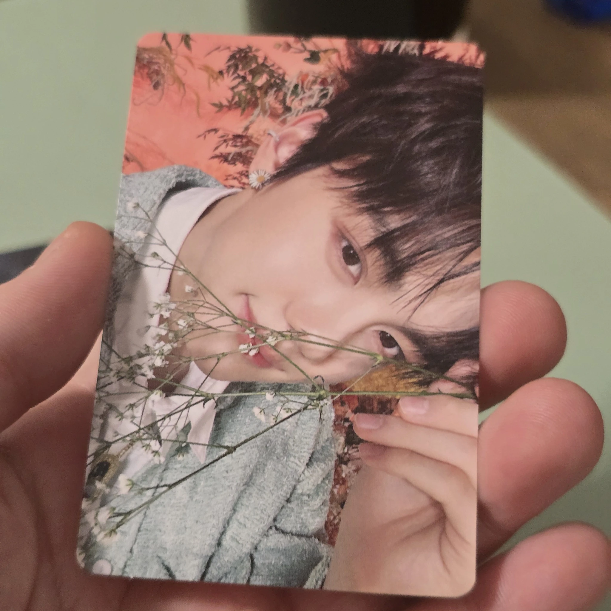 ZEROBASEONE Gyuvin ZEROBASEONE - Gyuvin - Yura Yura (ゆらゆら -運命の花-) Album album photocard japanese album limited A Version listing photo 1