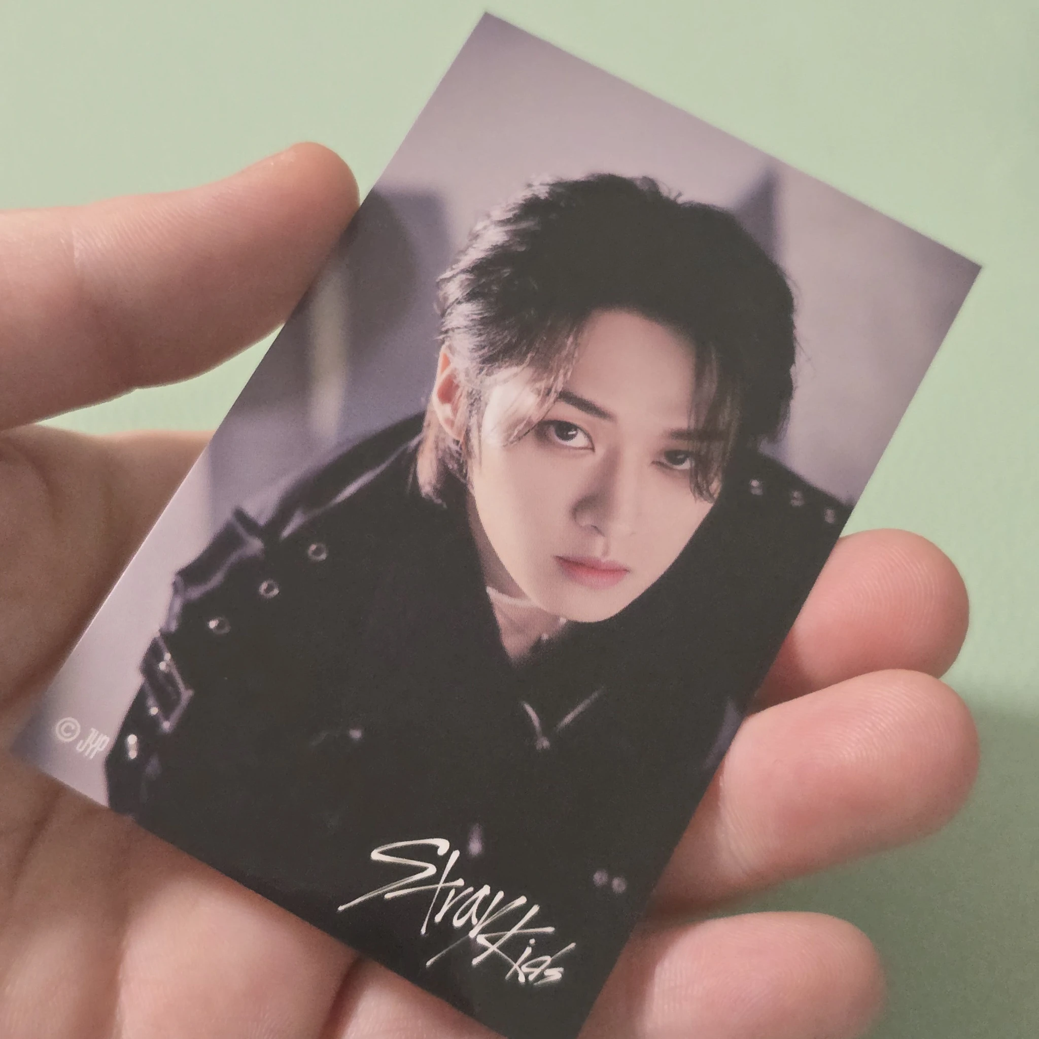 Stray Kids Lee Know Stray Kids - Lee Know - 5-Star Dome Tour 2023 Event version 1 jpfc (japan fanclub) round 1 sticker lottery sticker card supplemental listing photo 1