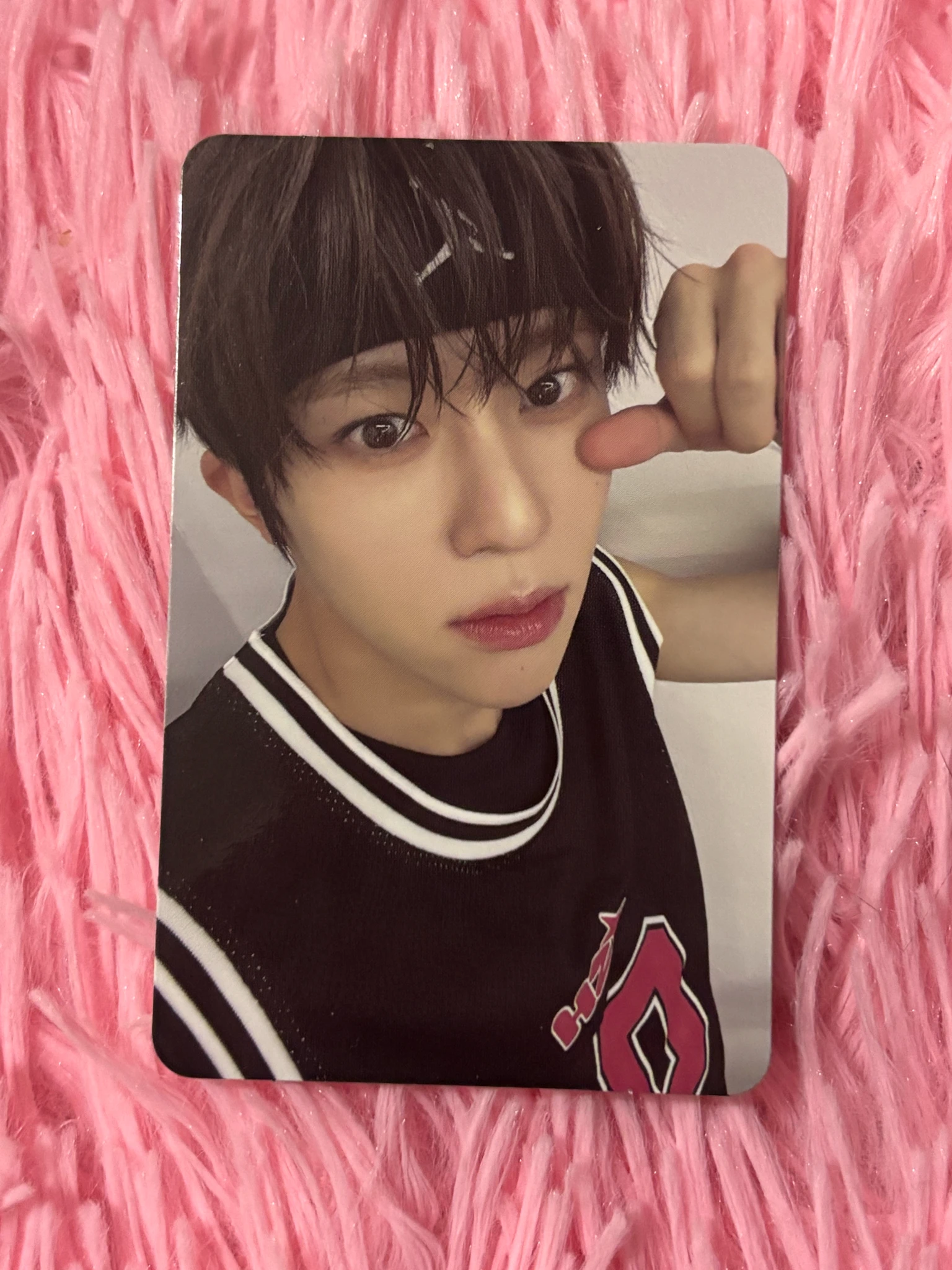 NCT WISH Sion NCT Wish - Sakuya - Steady Album QR version listing photo 1