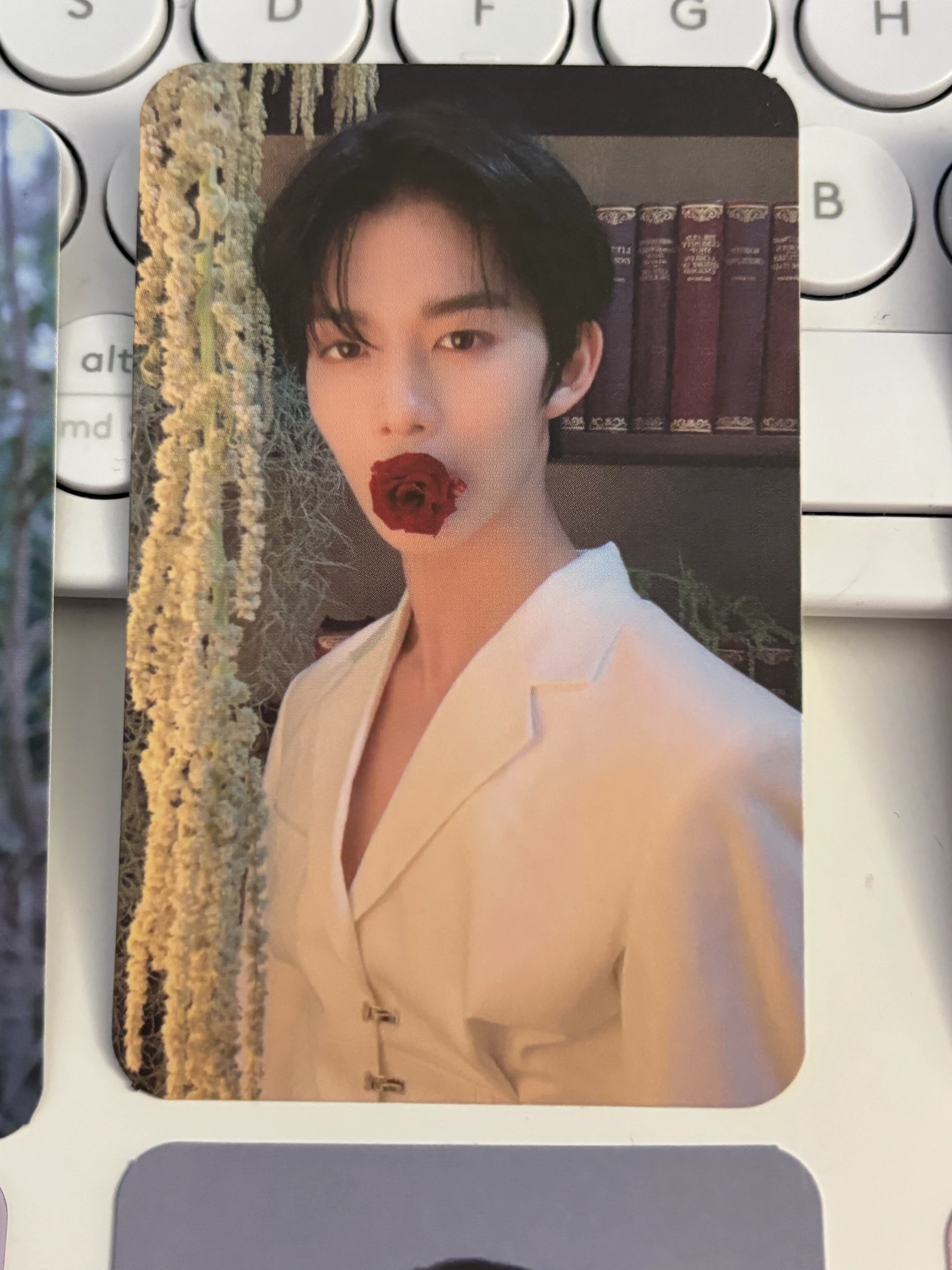 CIX Jinyoung CIX - Jinyoung - HELLO Chapter 1. Hello, Stranger Album hello version album photocard listing photo 1