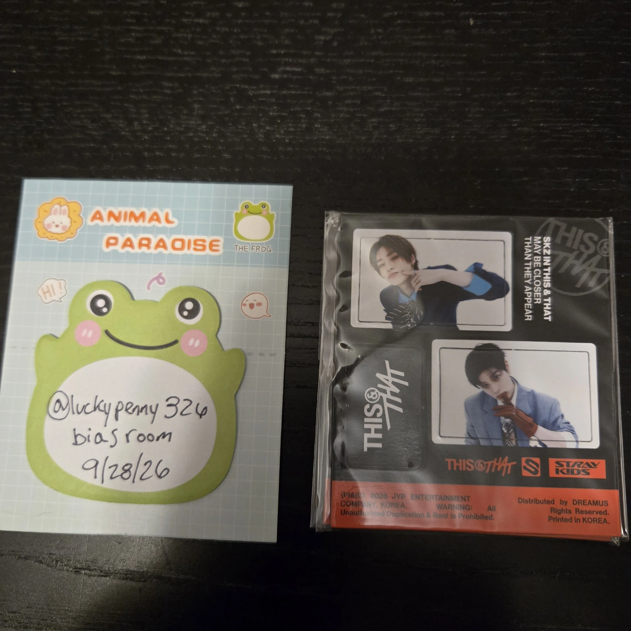 Stray Kids Stray Kids - Seungmin & I.N - This & That Album magnet album inclusion listing photo 1