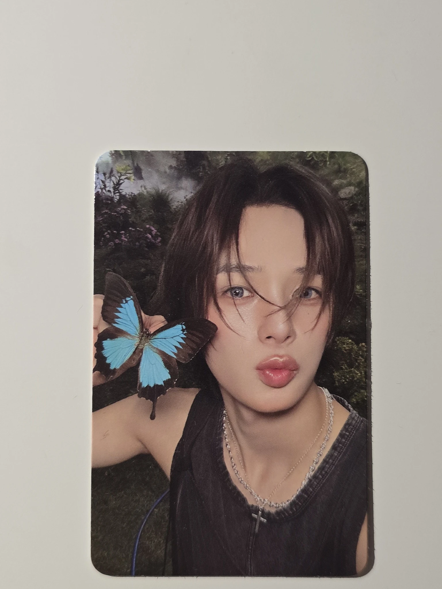 &TEAM K &TEAM - K - Back to Life Album album photocard roar version B version listing photo 1