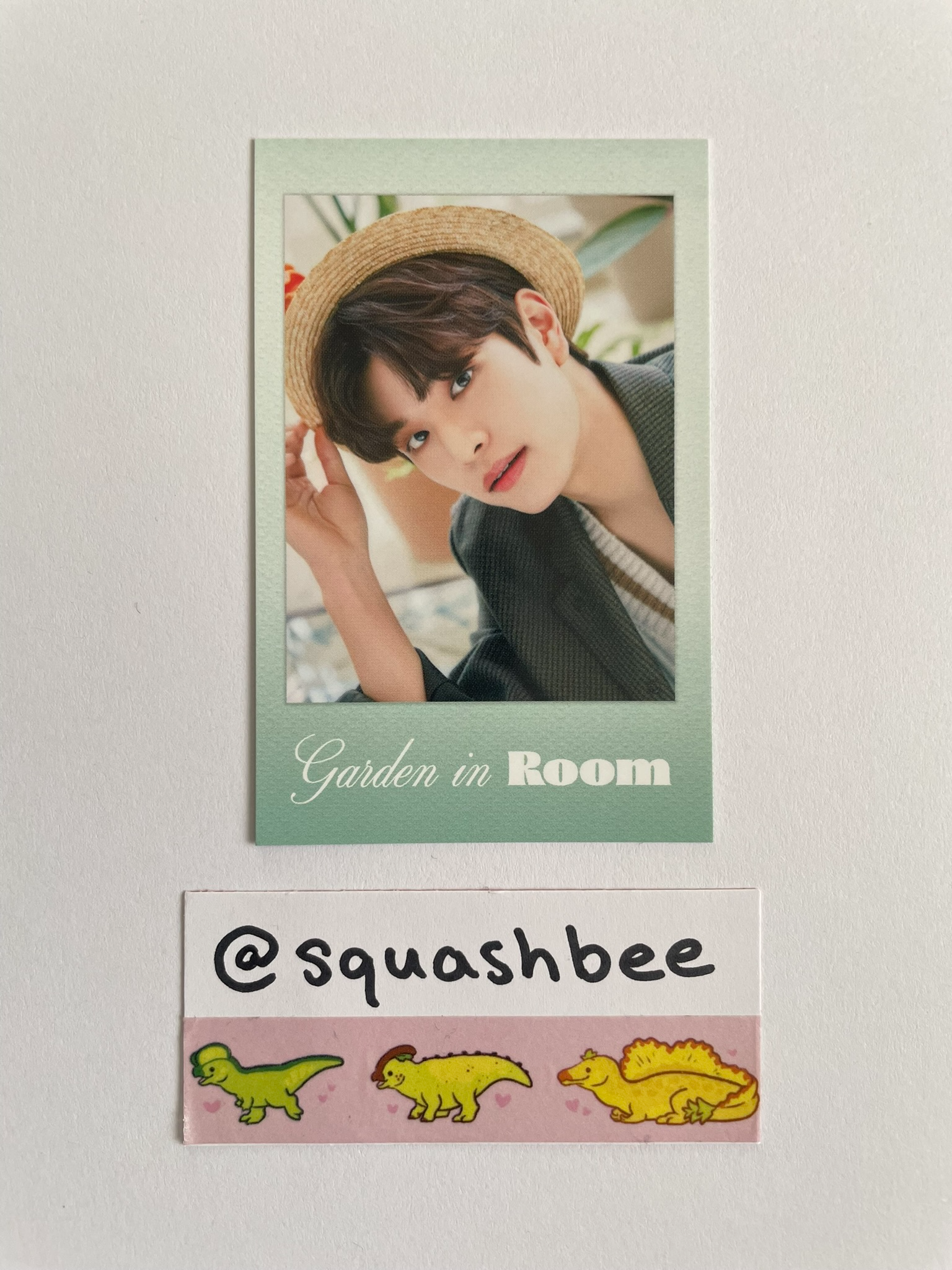 Stray Kids Seungmin Stray Kids - Seungmin - Seasons Greetings 2022 - Room Mates Event Garden Version listing photo 1