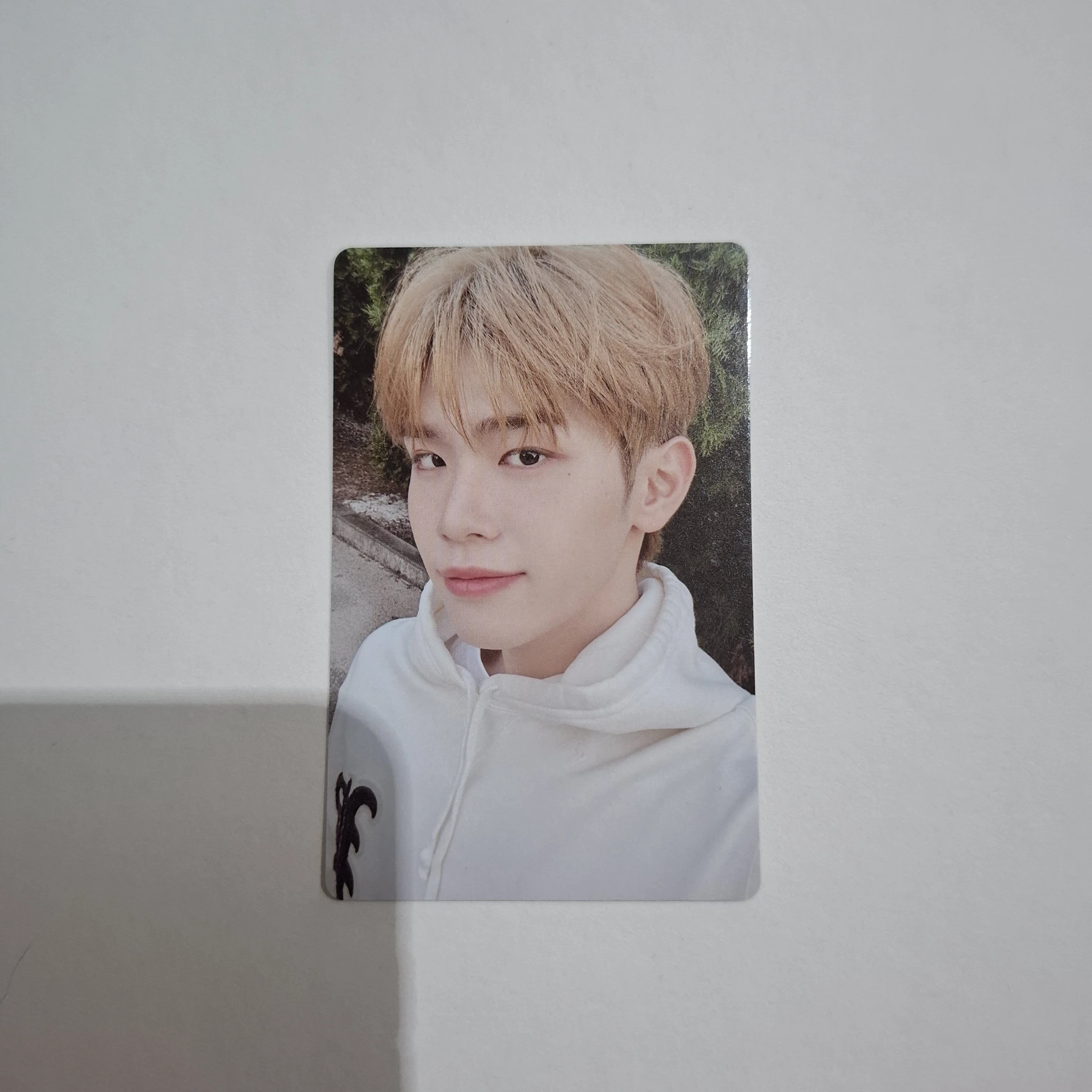 ZEROBASEONE Taerae ZEROBASEONE - Taerae - 2024 Seasons Greetings 'Good Night' Other photocard set listing photo 1