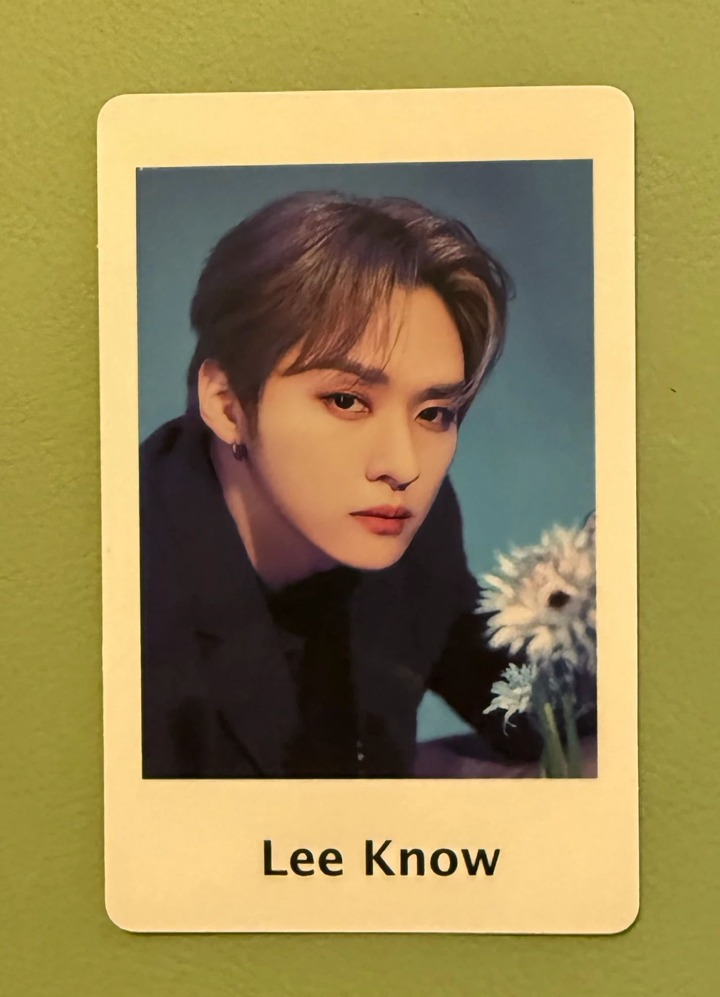 Stray Kids Lee Know Stray Kids - Lee Know - Maniac World Tour Event merch photocard polaroid set polaroid A version japan listing photo 1