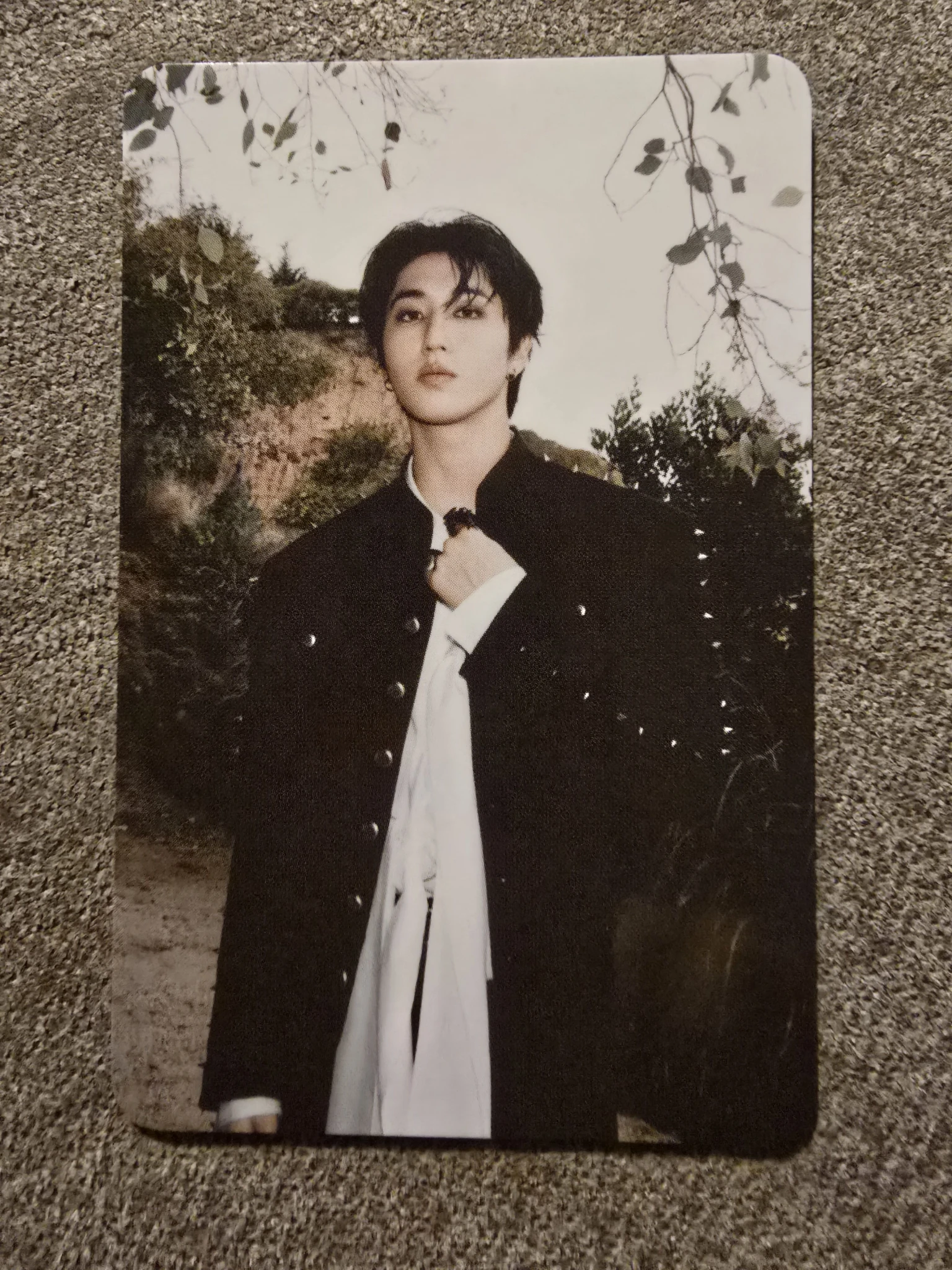 Stray Kids HAN Stray Kids - HAN - DO IT Album plve version album photocard photocard set platform listing photo 1