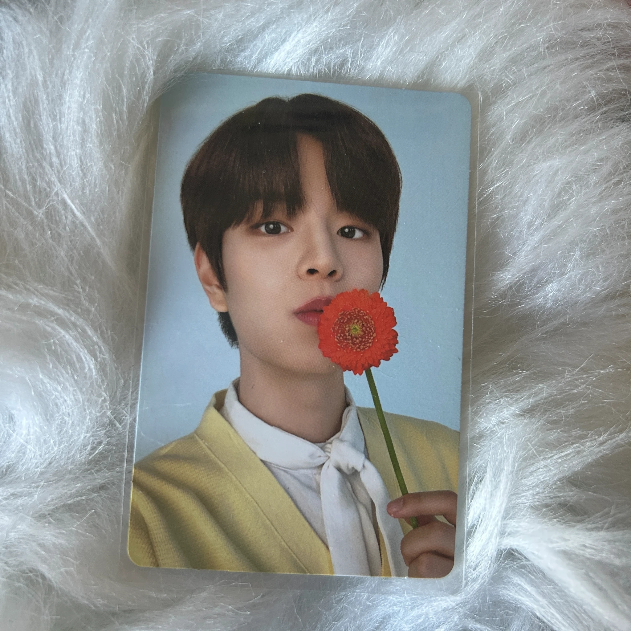 Stray Kids Seungmin Stray Kids - Seungmin - NACIFIC x Stray Kids Other brand collaboration nacific round 10 double-sided front side listing photo 1