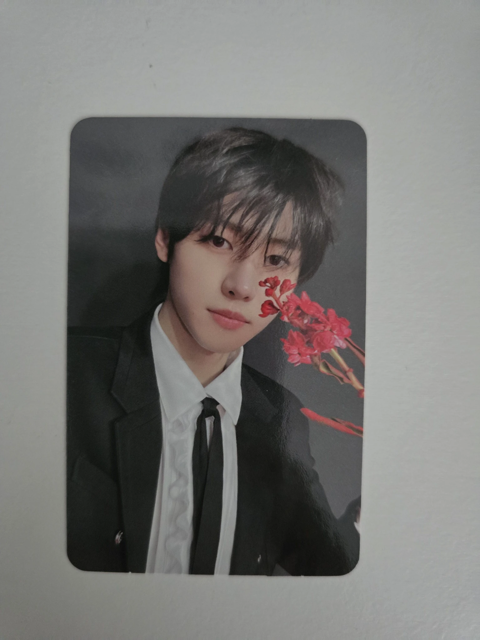 ENHYPEN Sunghoon ENHYPEN - Sunghoon - DARK BLOOD Album kpopmerch video call round 1 listing photo 1