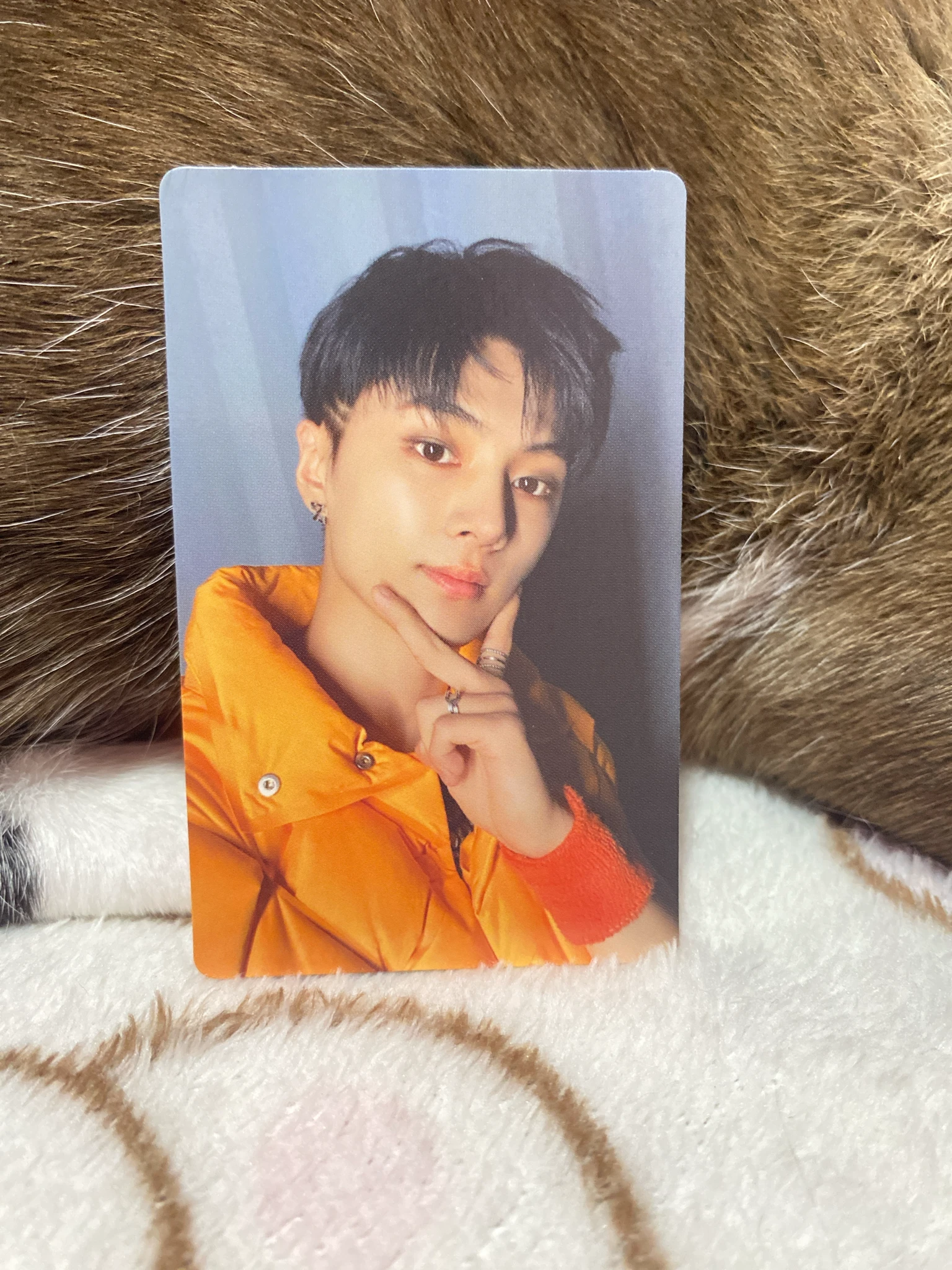 ENHYPEN Jay ENHYPEN - Jay - MANIFESTO: DAY 1 Album album photocard korean album engene version weverse album version D version M version J version listing photo 1