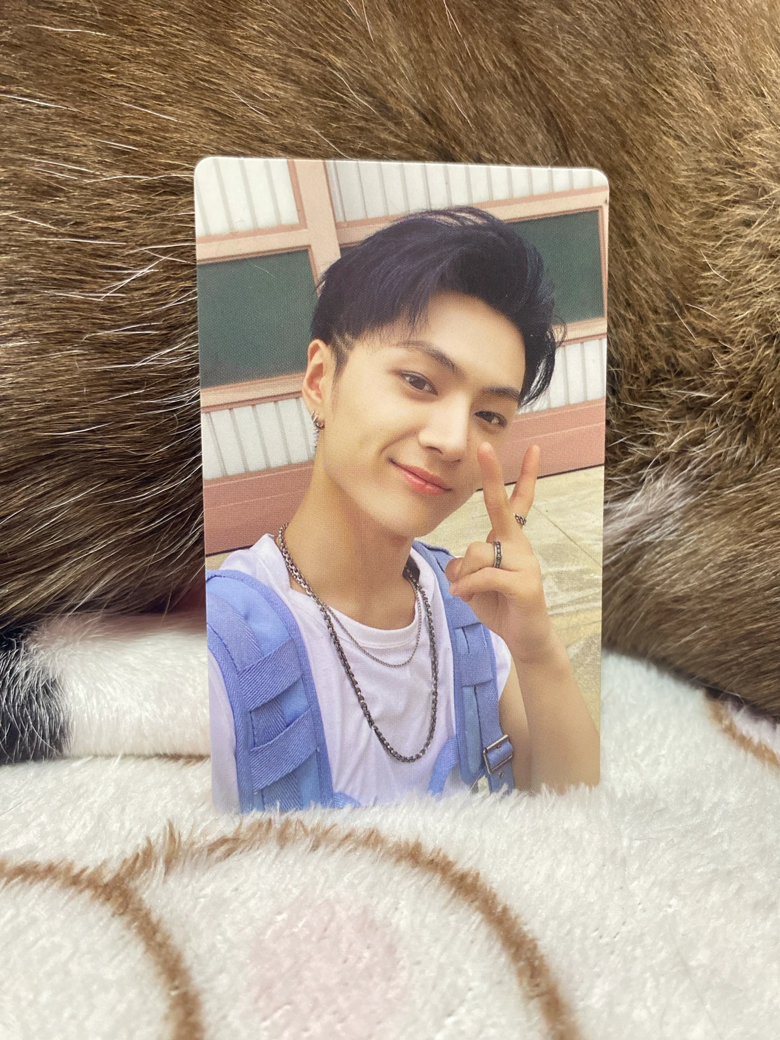 ENHYPEN Jay ENHYPEN - Jay - MANIFESTO: DAY 1 Album album photocard korean album engene version weverse album version D version M version J version listing photo 1