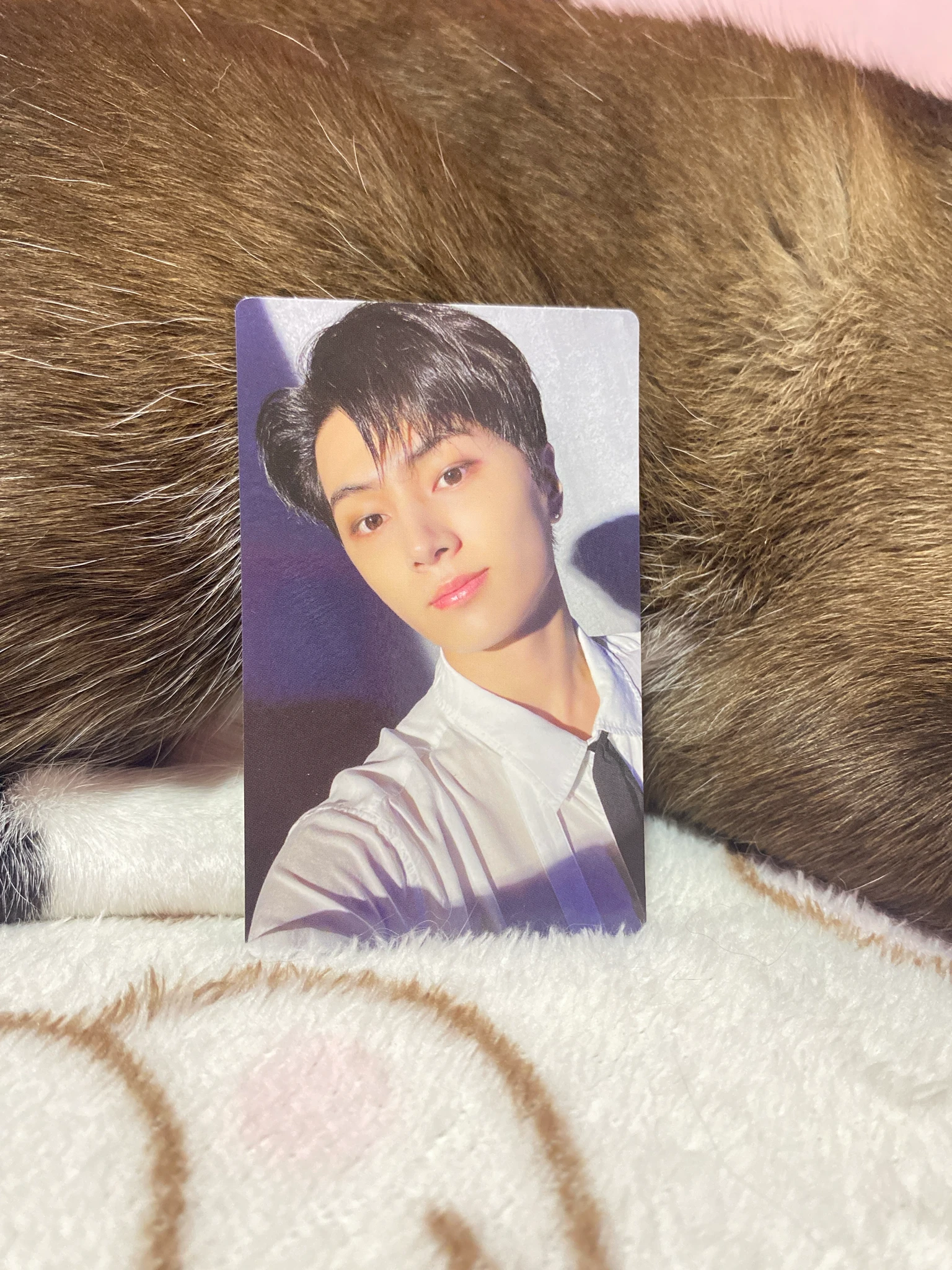 ENHYPEN Jay ENHYPEN - Jay - World Tour 'Fate' Event trading card merch photocard special card listing photo 1