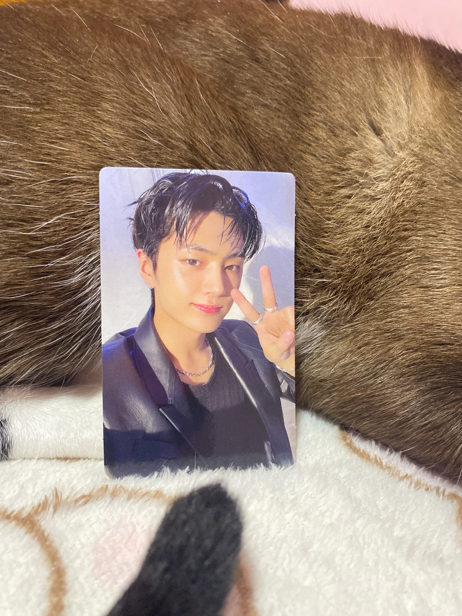 ENHYPEN Jay ENHYPEN - Jay - 結 -YOU- Album japanese album solo jacket version A version album photocard listing photo 1