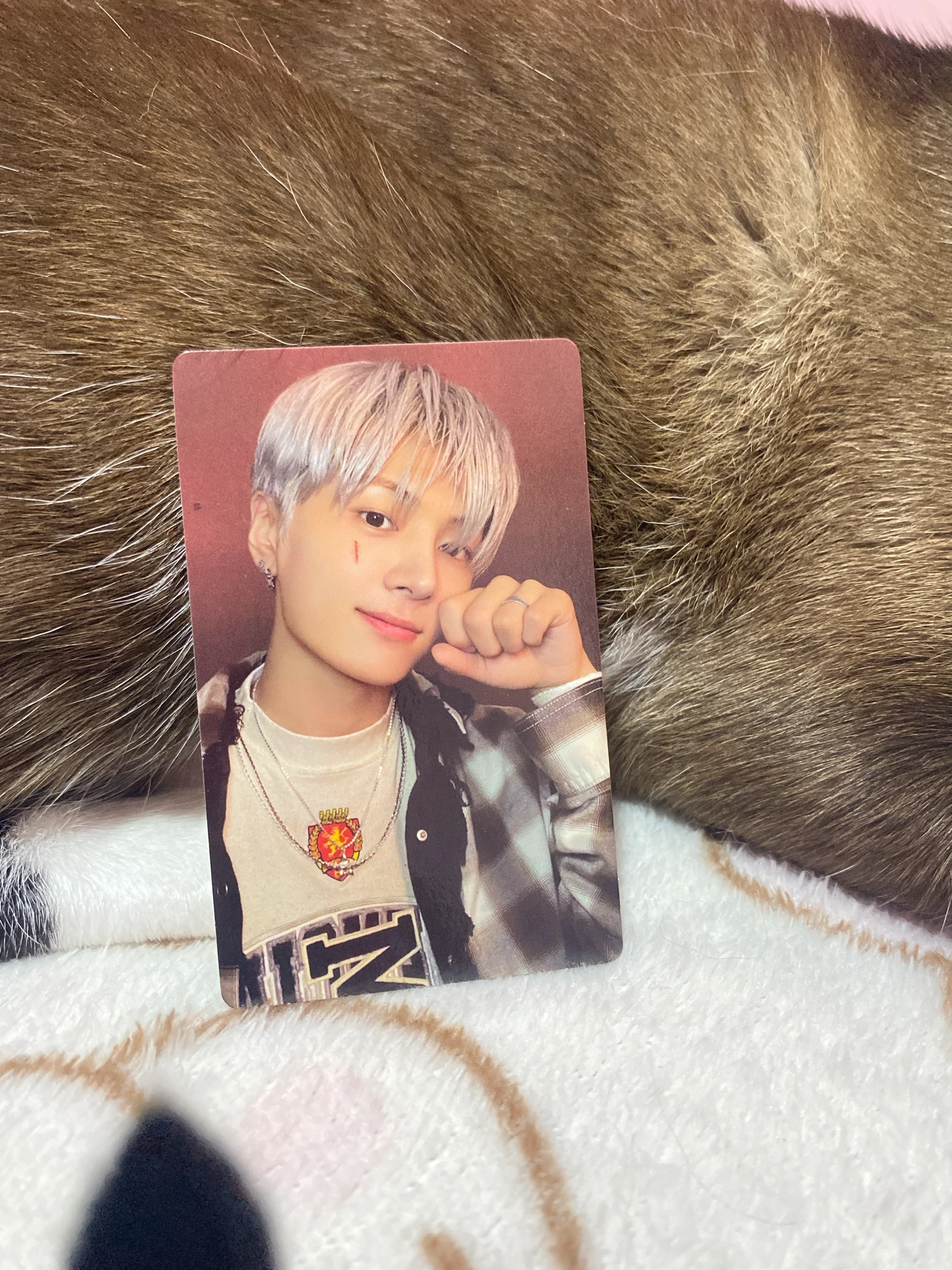 ENHYPEN Jay ENHYPEN - Jay - ORANGE BLOOD Album korean album album photocard ksana version B version listing photo 1