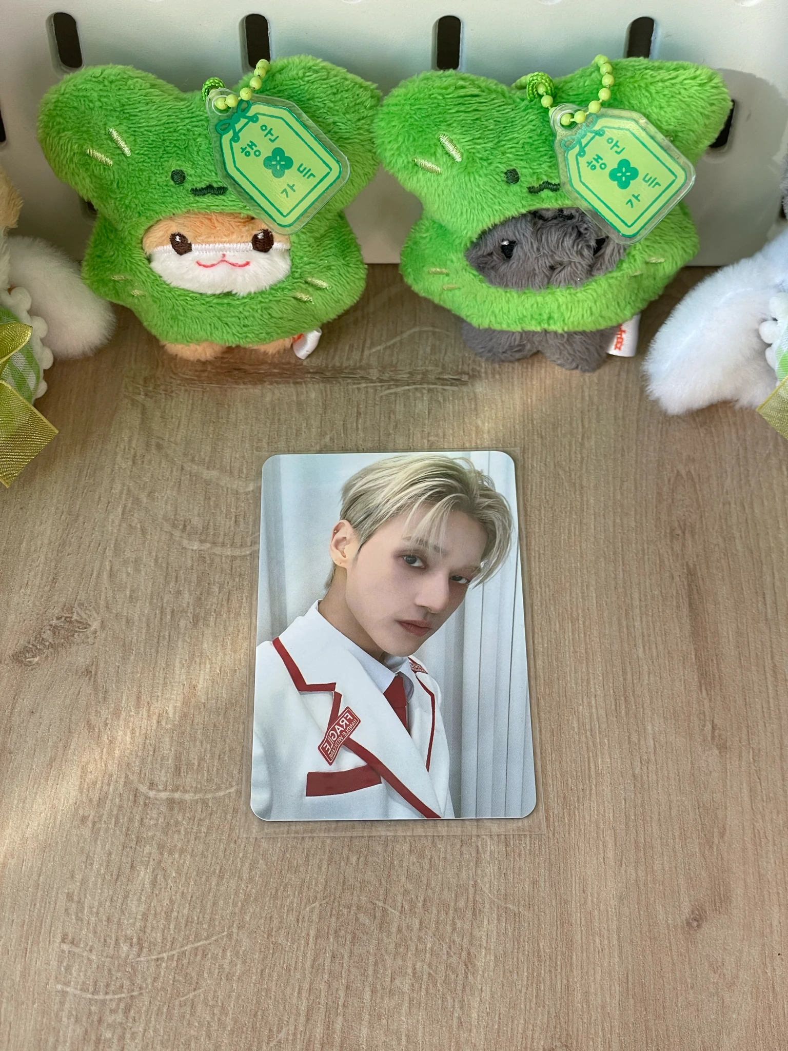 ATEEZ Wooyoung ATEEZ - Wooyoung - ANITEEZ IN THE CALLING Other purchase benefit listing photo 1