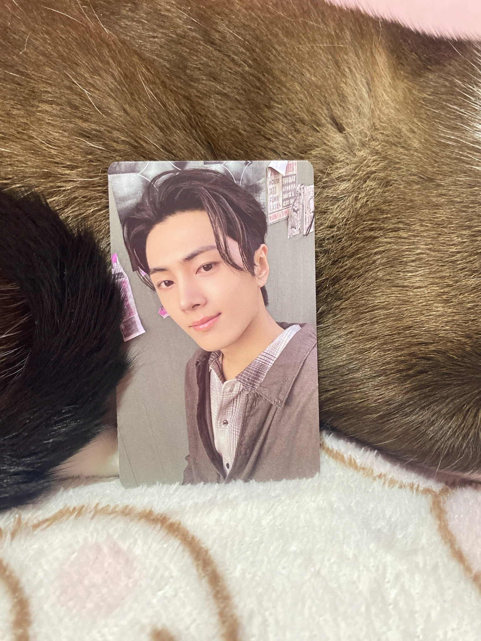 ENHYPEN Jay ENHYPEN - Jay - ROMANCE: UNTOLD Album B version weverse album version korean album album photocard listing photo 1