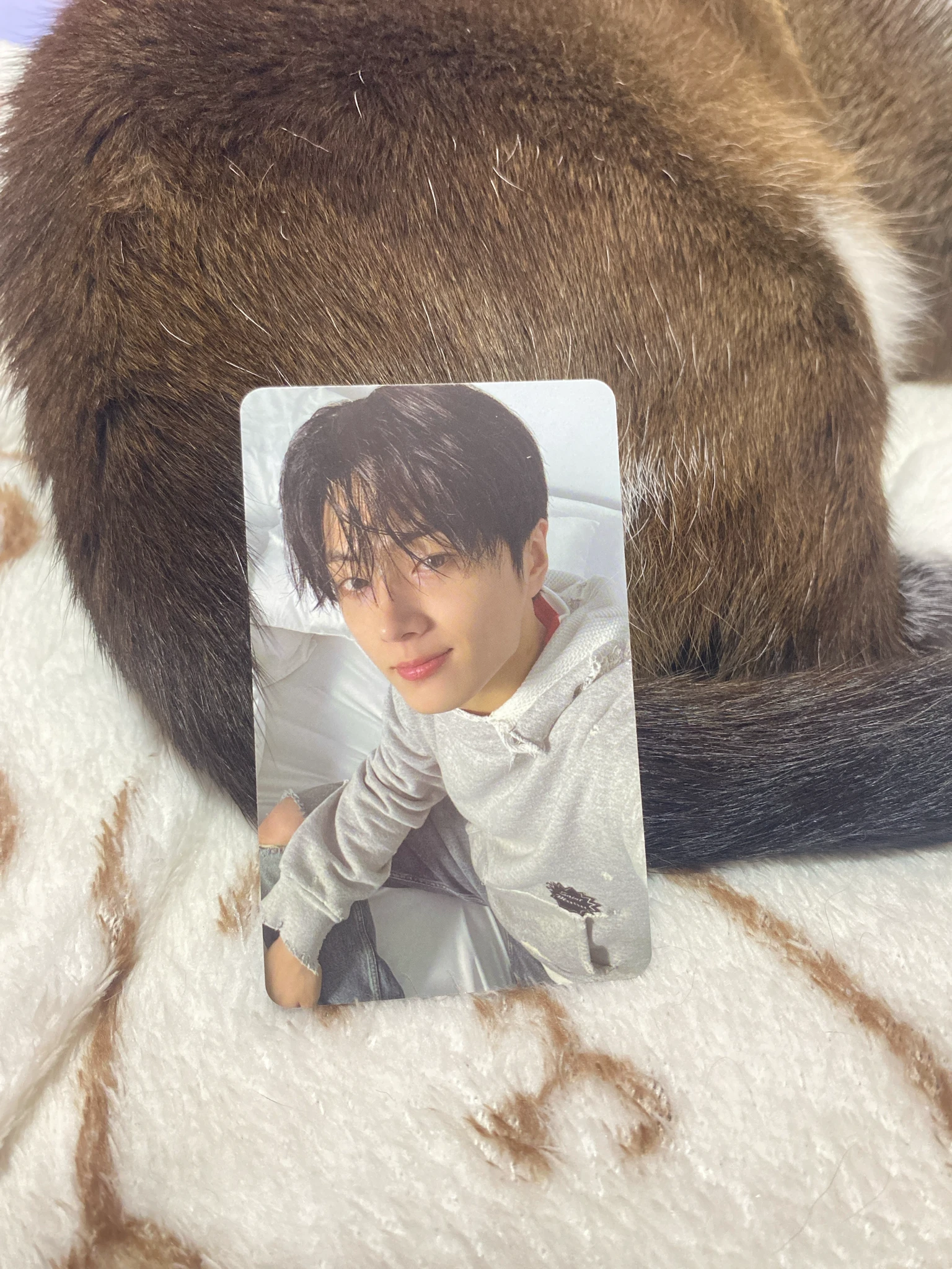 ENHYPEN Jay ENHYPEN - Jay - ROMANCE: UNTOLD-DAYDREAM- Album blue noon version album photocard listing photo 1