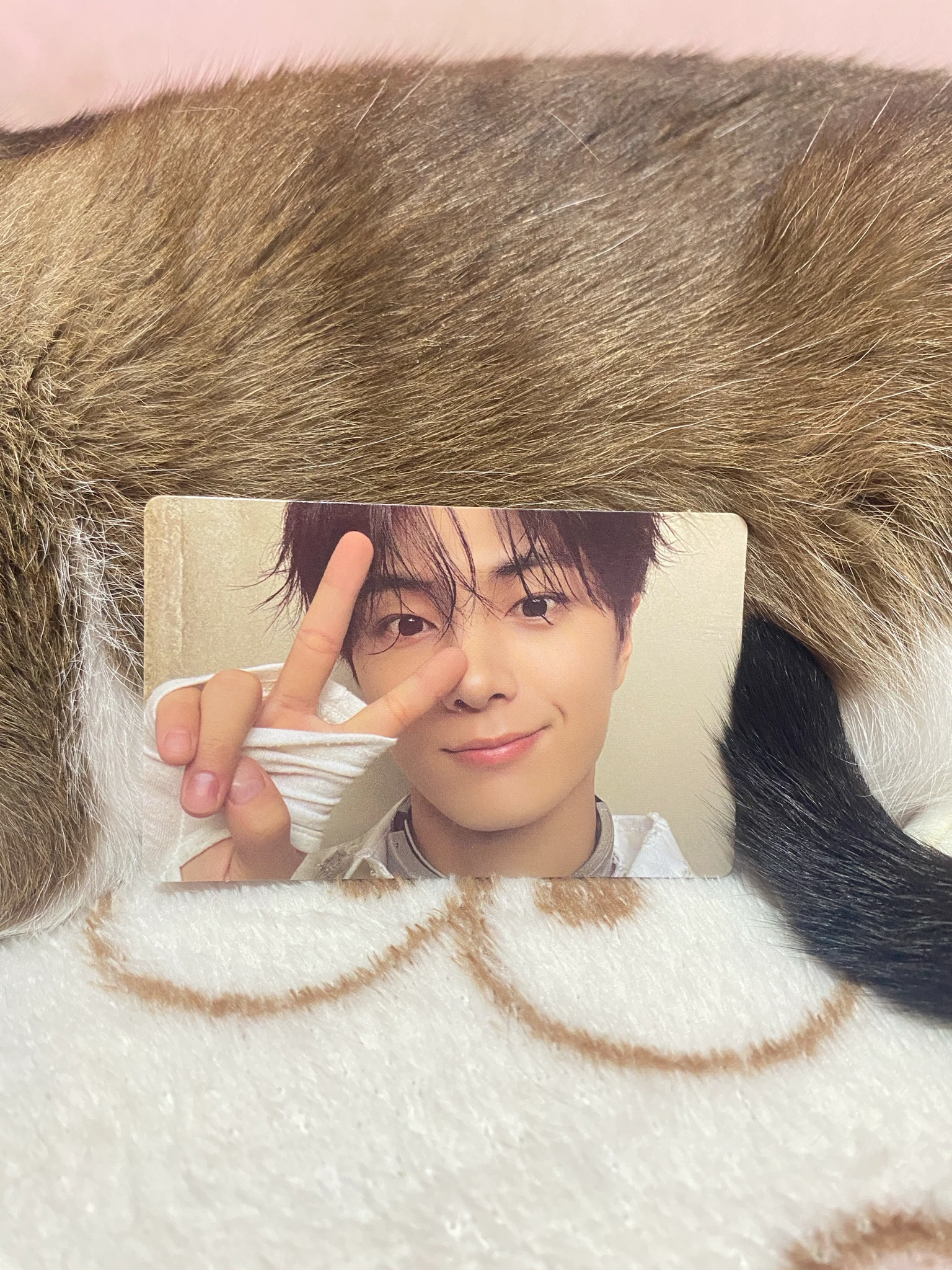ENHYPEN Jay ENHYPEN - Jay - DESIRE: UNLEASH Album engene version korean album album photocard listing photo 1
