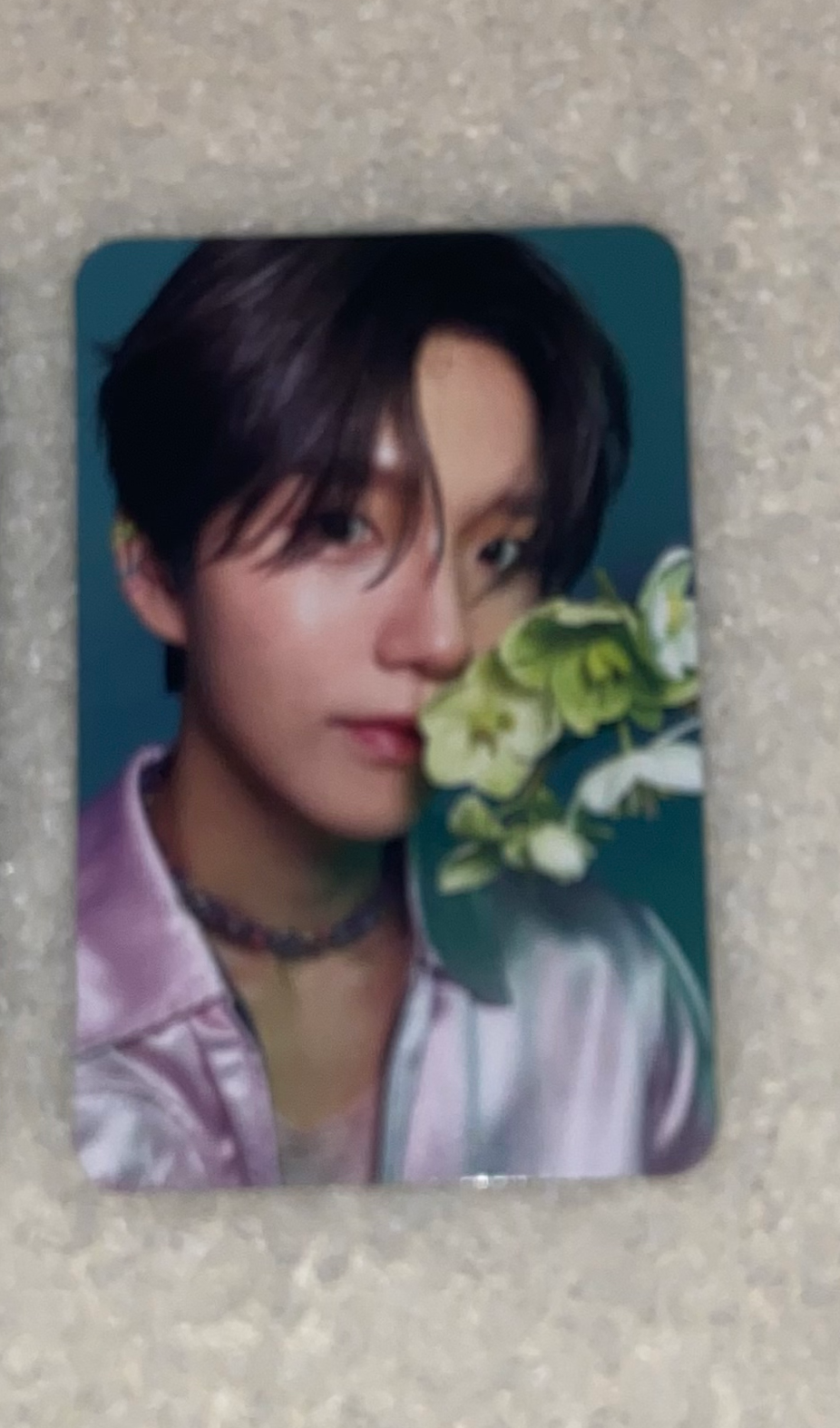 NCT WISH Jaehee NCT Wish - Jaehee - Songbird Album listing photo 1