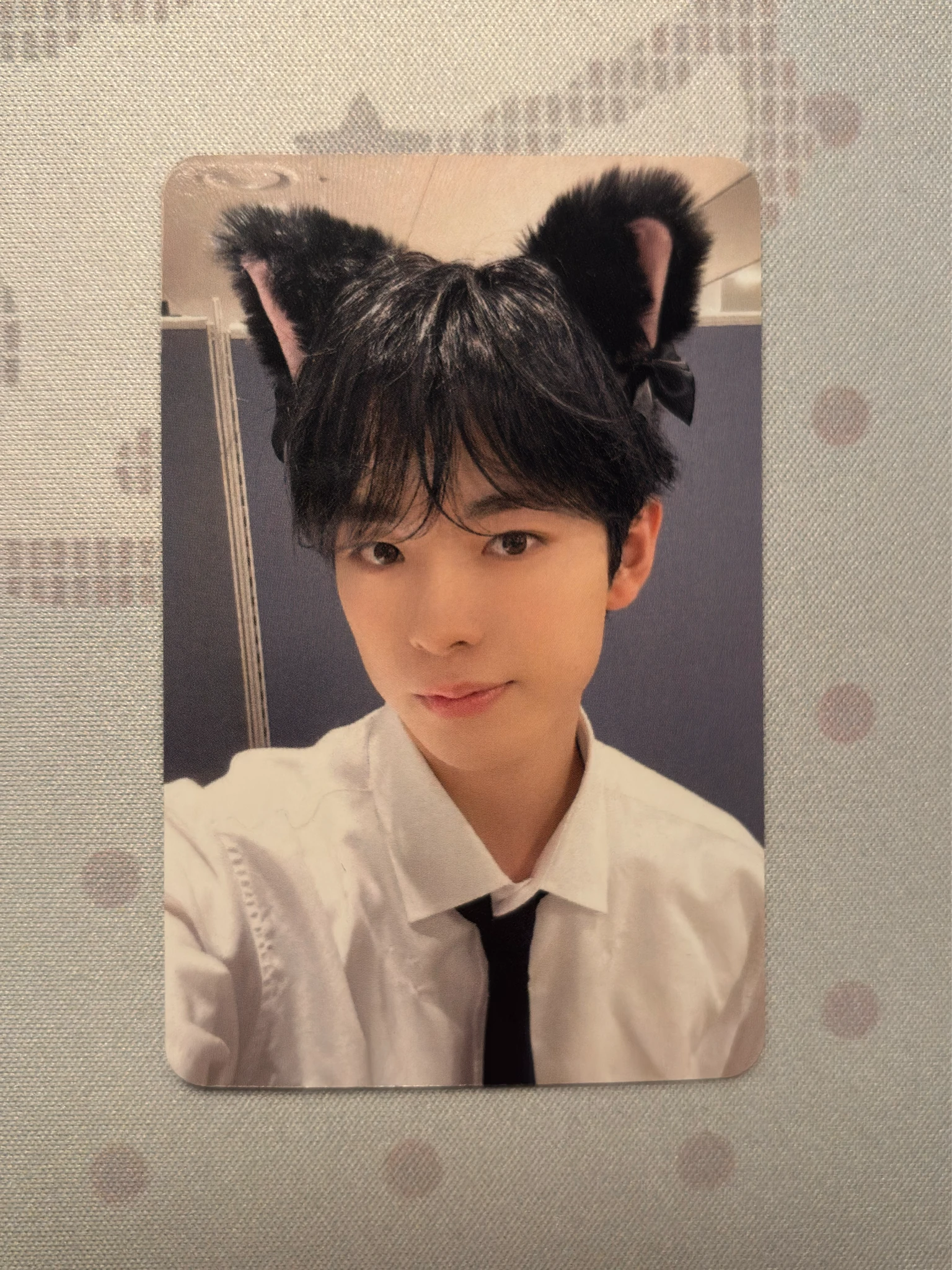 NCT WISH Yushi NCT Wish - Yushi - Steady Album apple music listing photo 1