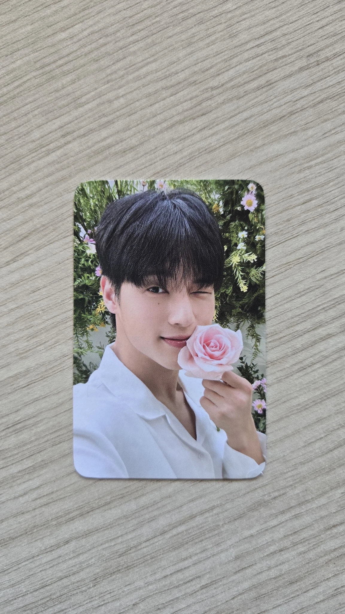 ATEEZ Wooyoung ATEEZ - Wooyoung - Ateez x Nacific Other nacific round 1 listing photo 1
