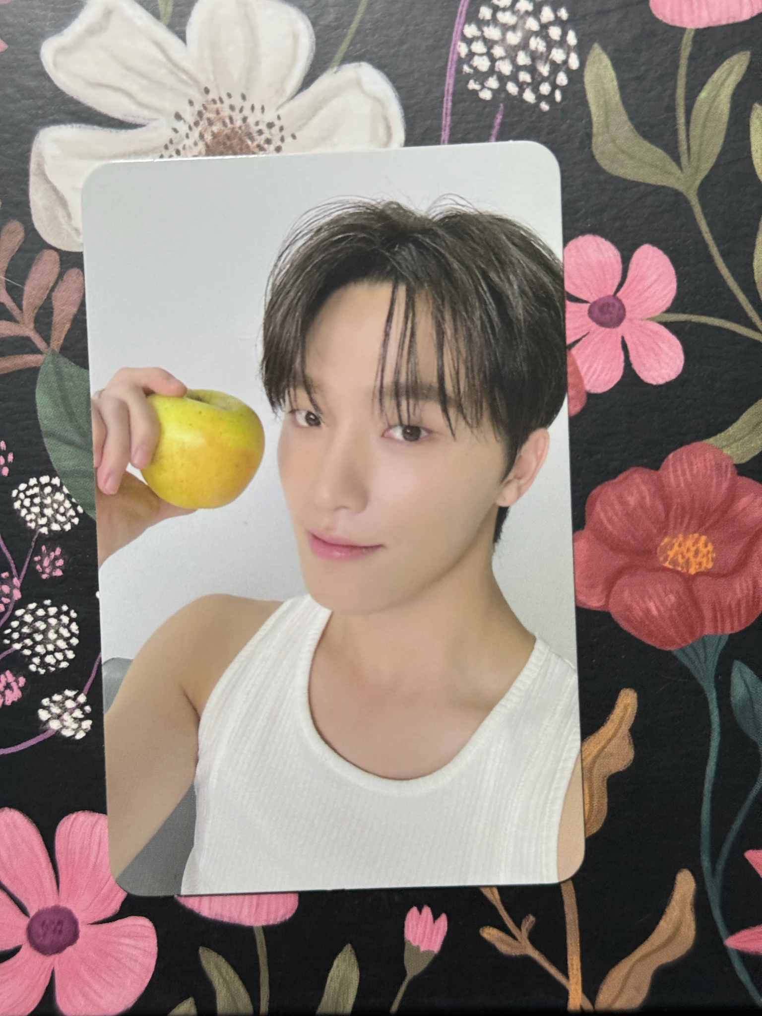 SEVENTEEN Dino SEVENTEEN - Dino - 17 IS RIGHT HERE Album album photocard C version selfie photocard listing photo 1