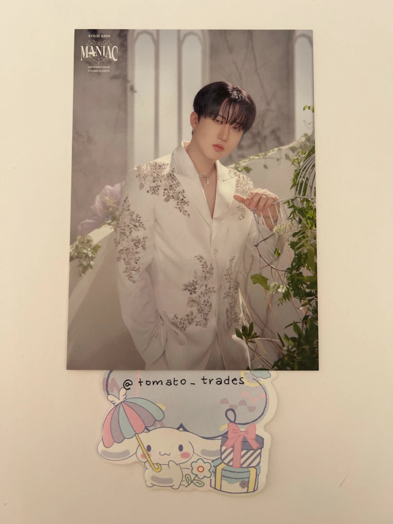 Stray Kids Changbin Stray Kids - Changbin - Maniac World Tour Event merch photocard trading card japan listing photo 1