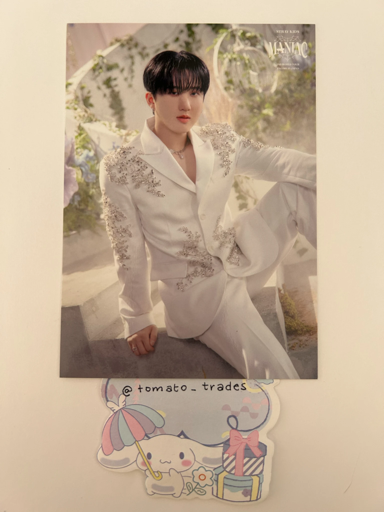 Stray Kids Changbin Stray Kids - Changbin - Maniac World Tour Event merch photocard trading card japan listing photo 1